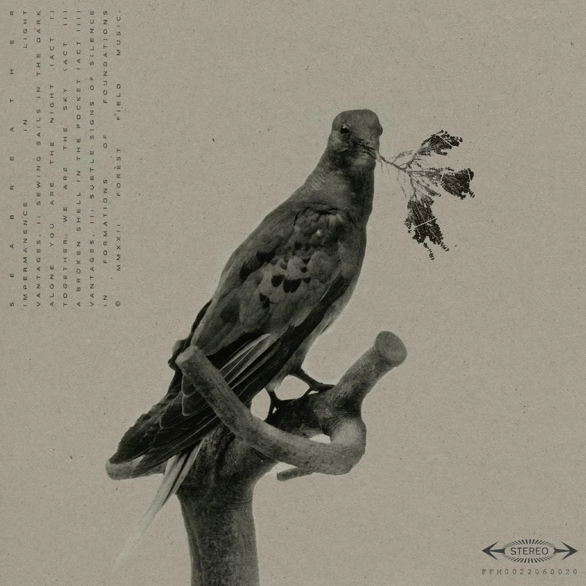 007 - Impermanence In Light
