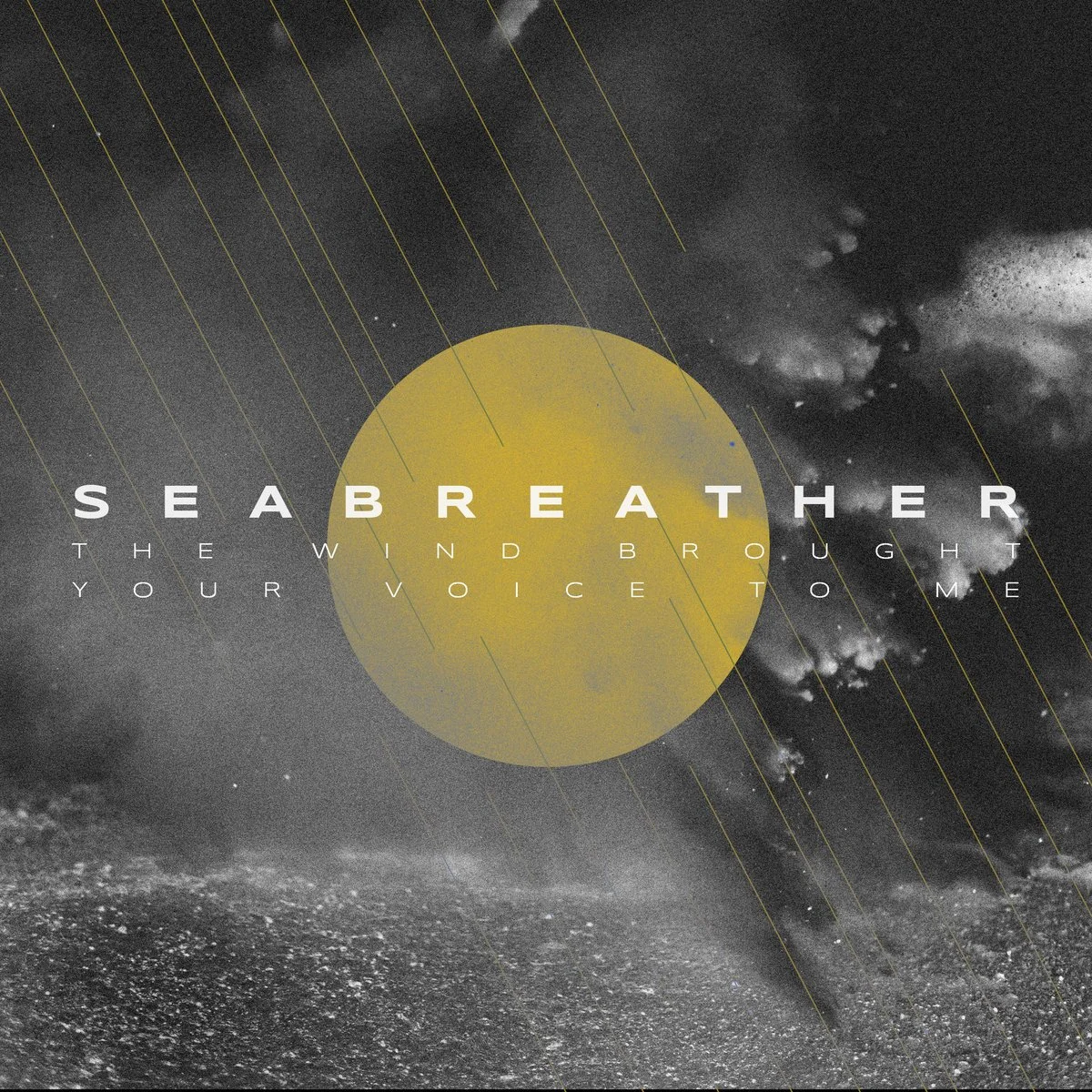 005 - The Wind Brought Your Voice To Me
