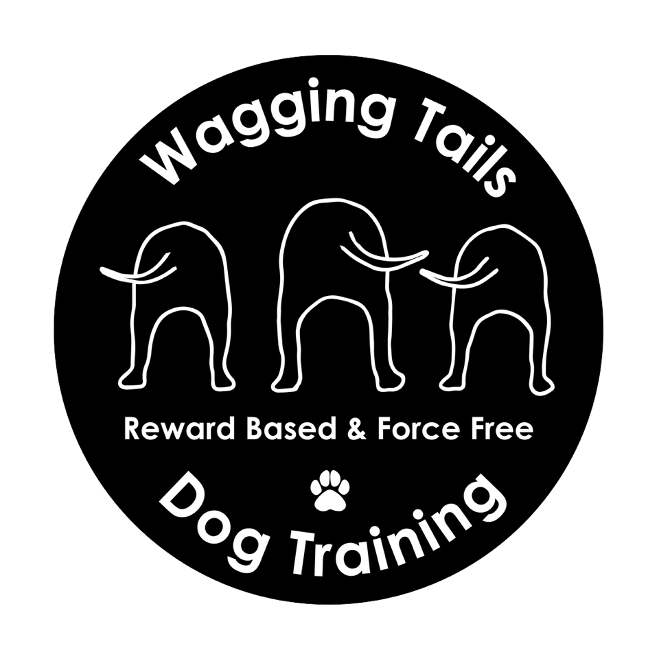 Wagging Tails Dog Training