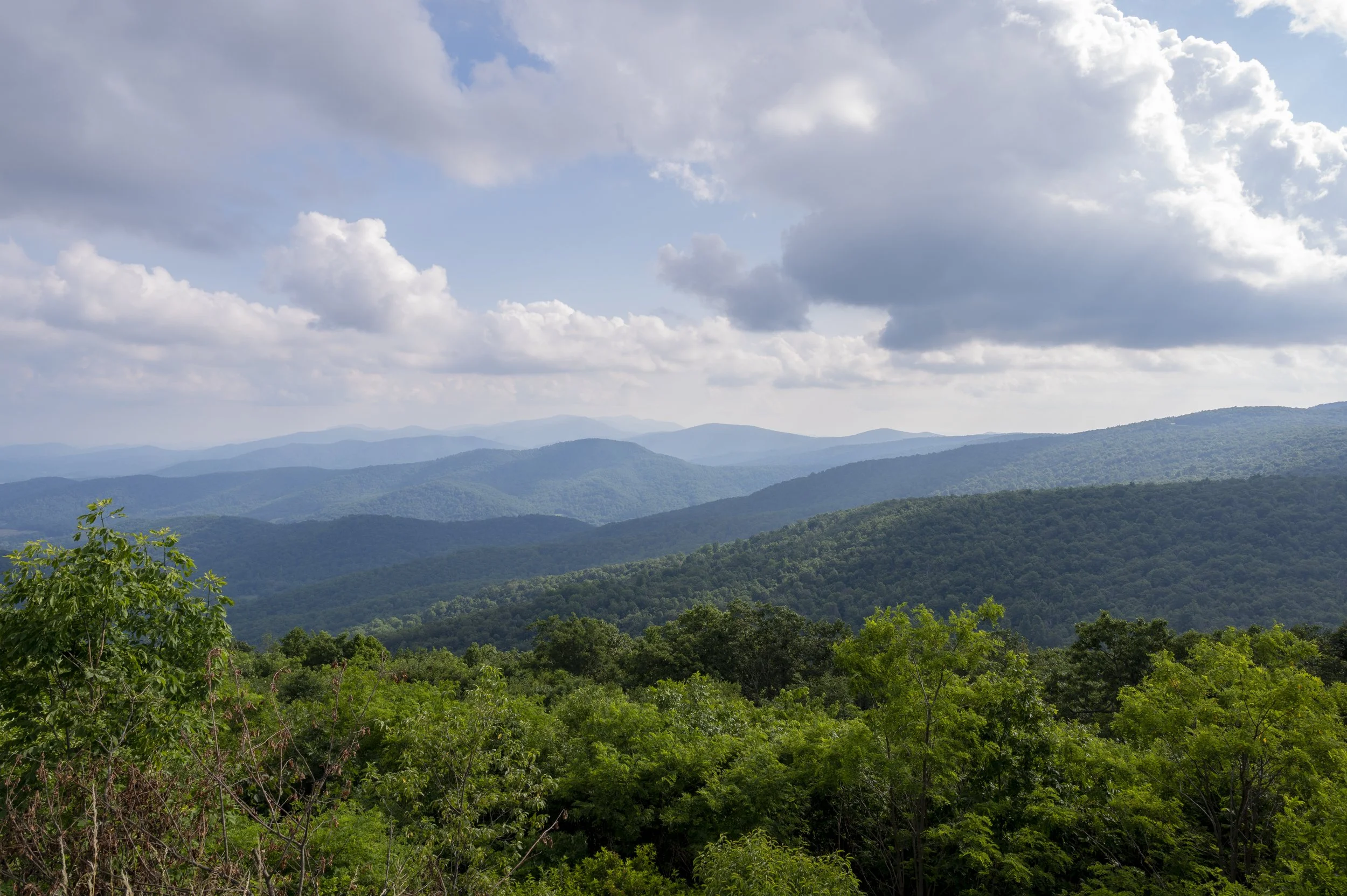 Shenandoah2.jpg