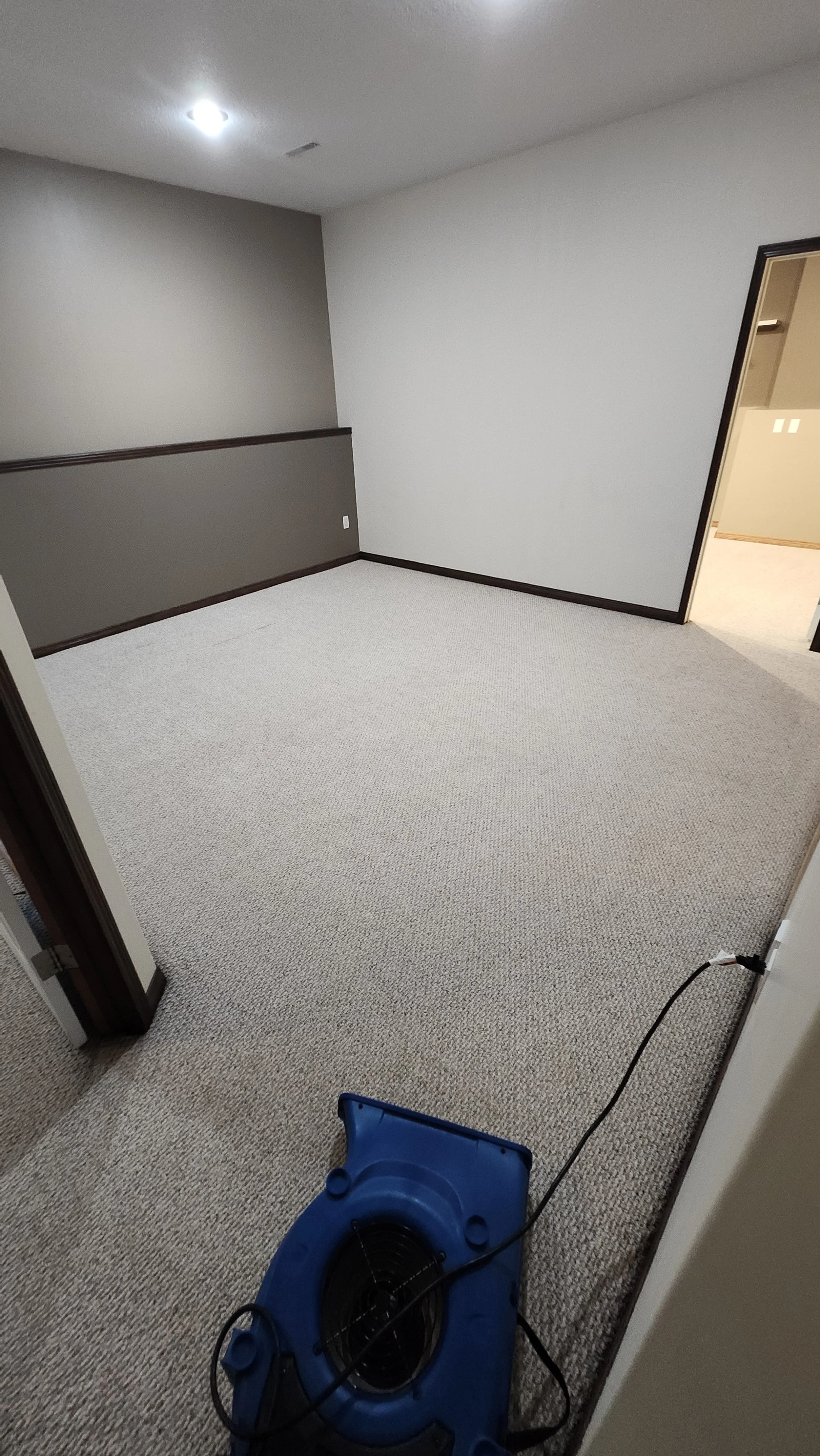 The after photo of a carpet recently cleaned with steam or hot water extraction