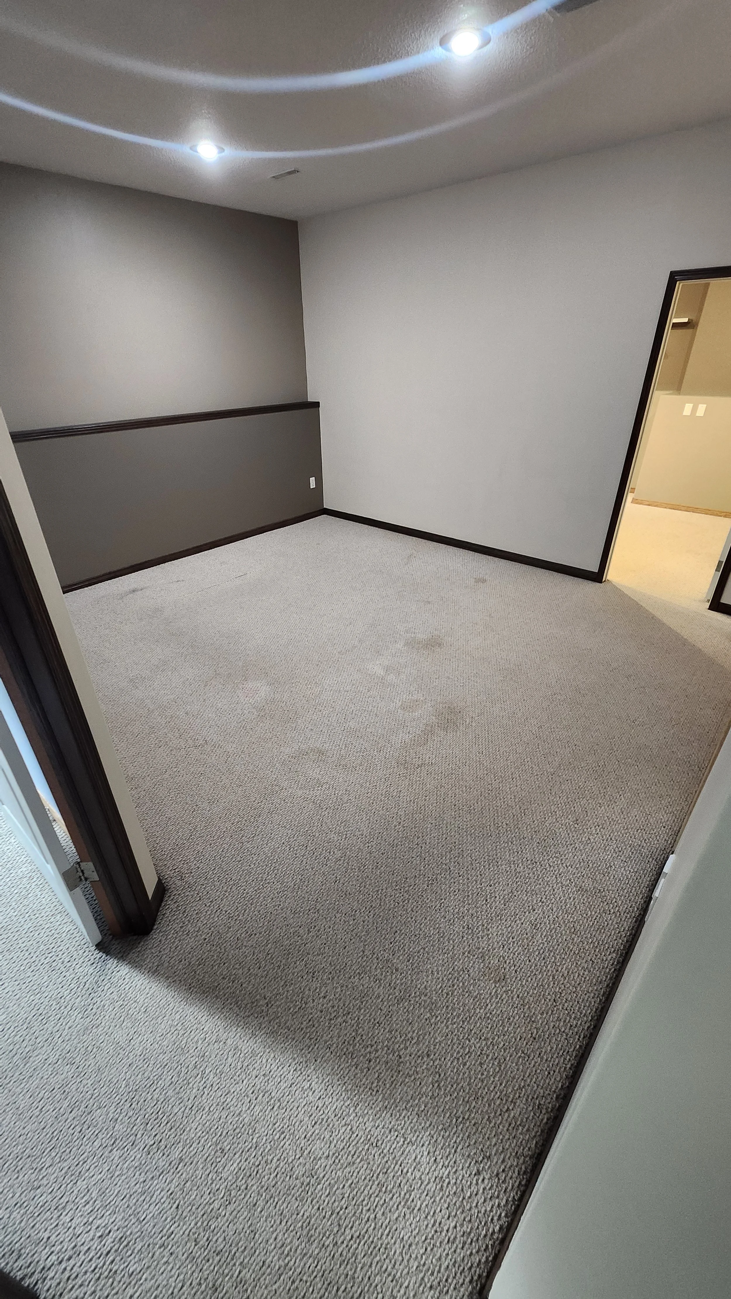 the before photo of a basement, showing very soiled carpet.