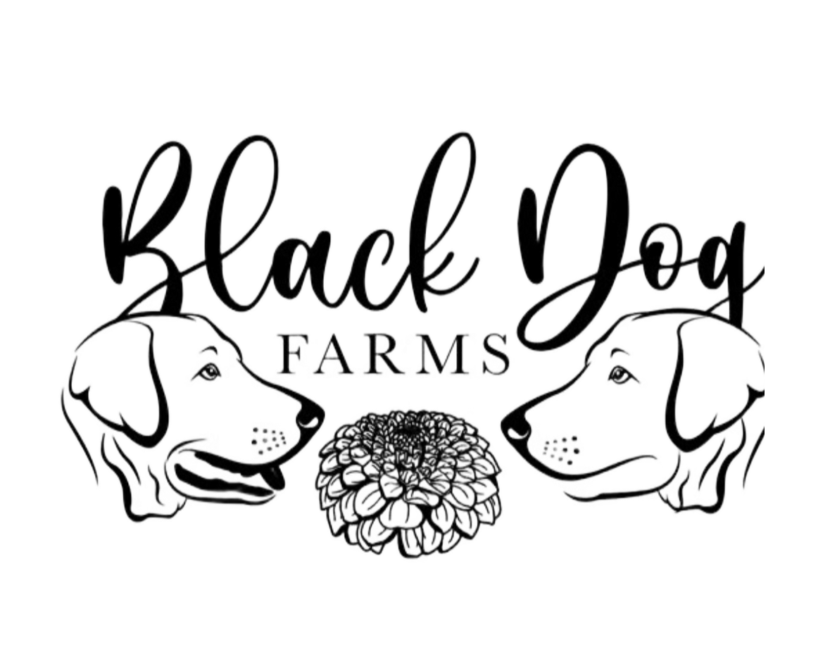 Black Dog Farms