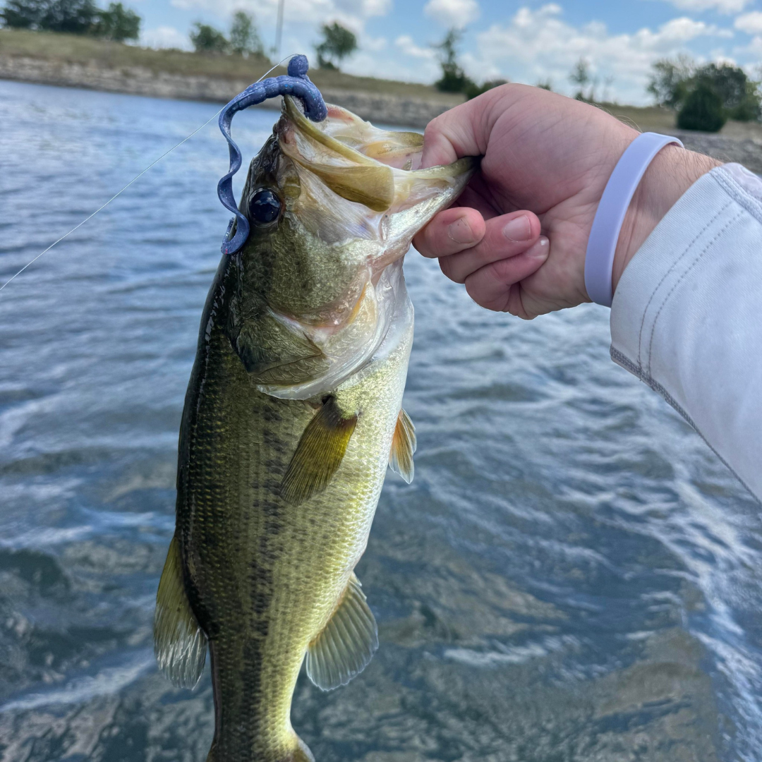 A person holding a largemouth bass fish with a blue spinnerbait lure in its mouth, by a body of water with a cloudy sky.