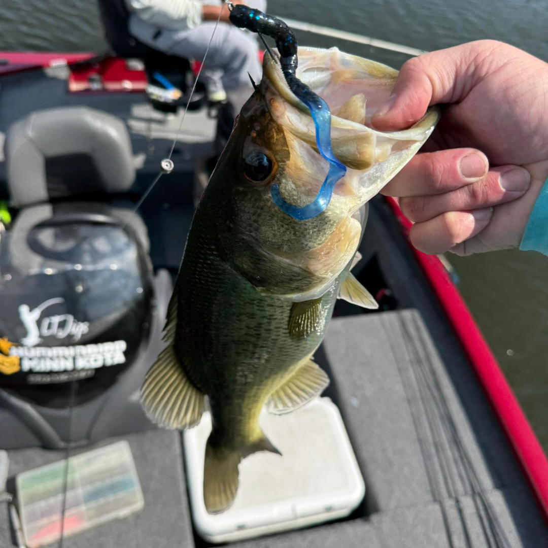 Person holding a largemouth bass caught on a fishing lure, with a fishing boat and equipment in the background.