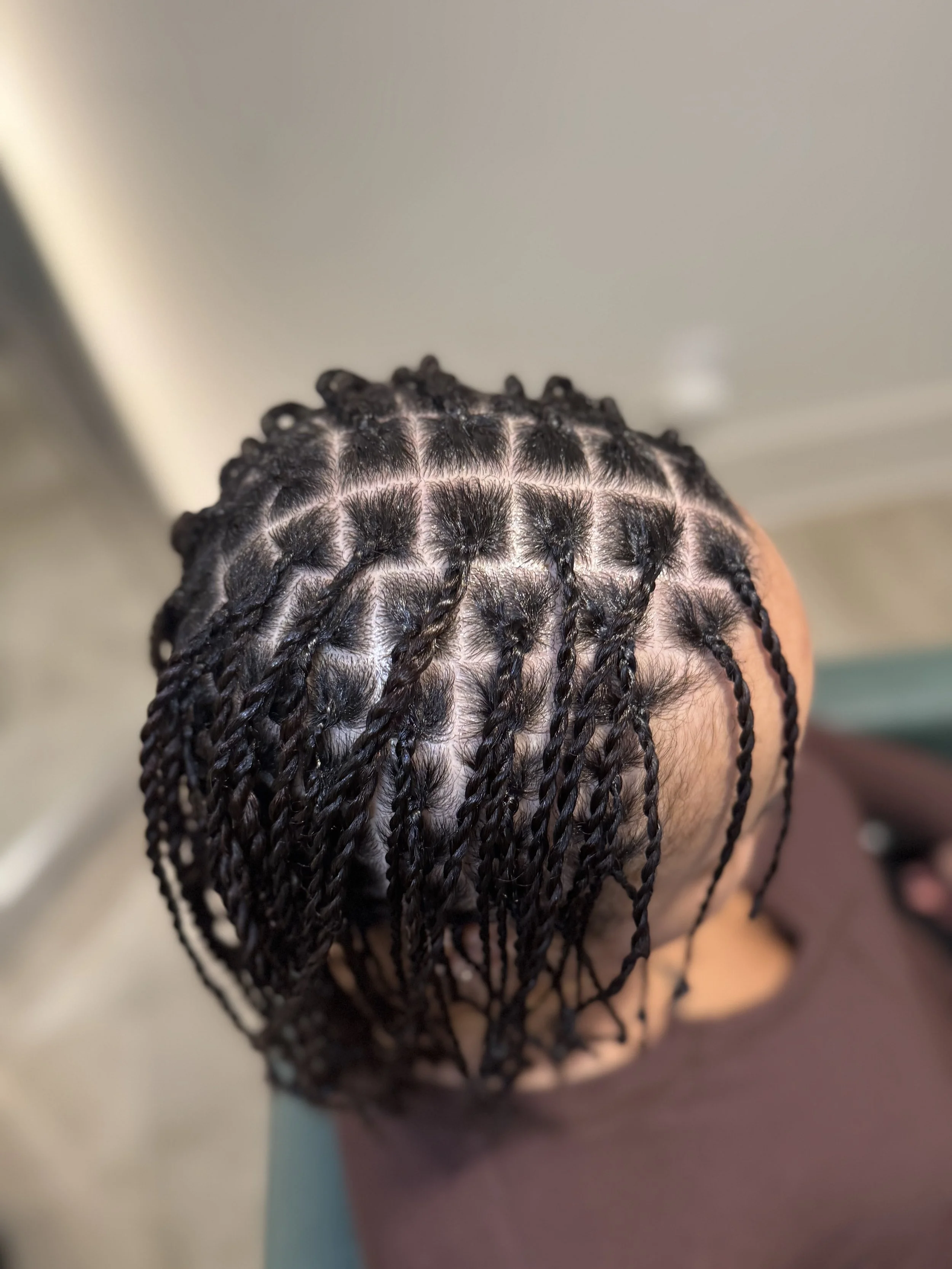 Top view of a person's head with neat size mini to small two strand twists on natural hair