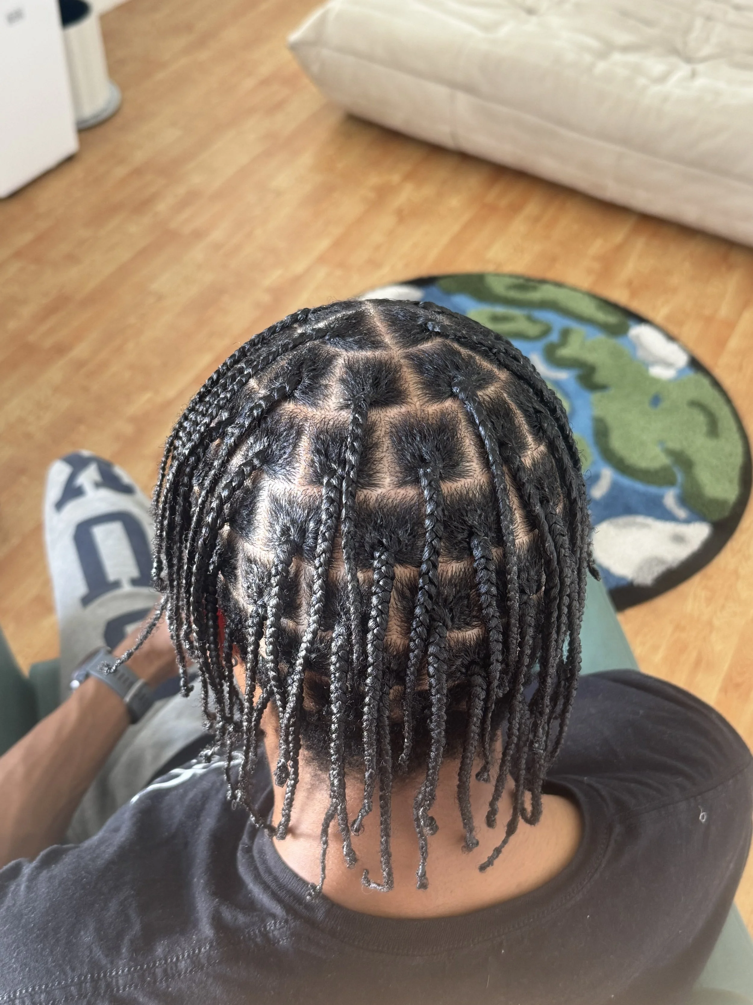Top view of a person with neatly braided small box braids or plaits