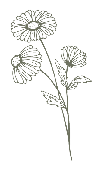 Illustration symbolising modern wellbeing and lifestyle balance, reflecting holistic health, natural medicine, and personalised naturopathic care at The Herbary in Pukekohe, Auckland.