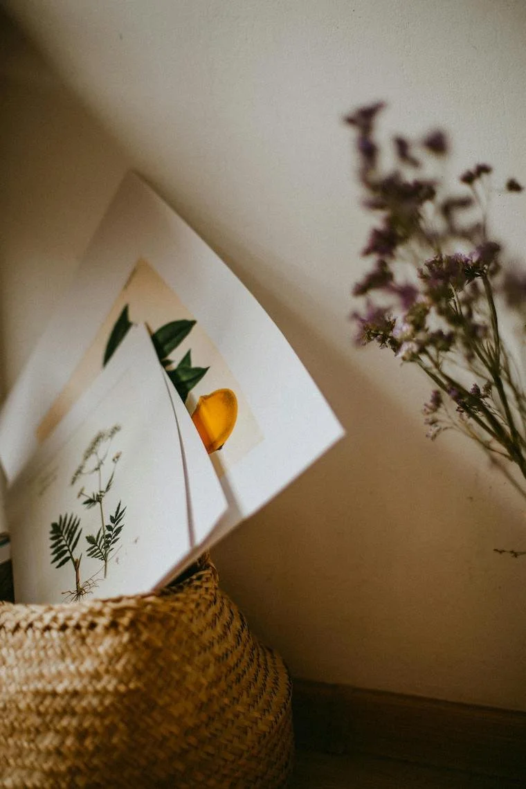 Woven basket with botanical illustrations and fresh flowers outside The Herbary naturopathic clinic in Pukekohe, Auckland, reflecting herbal medicine, natural health, and plant-based wellness care.