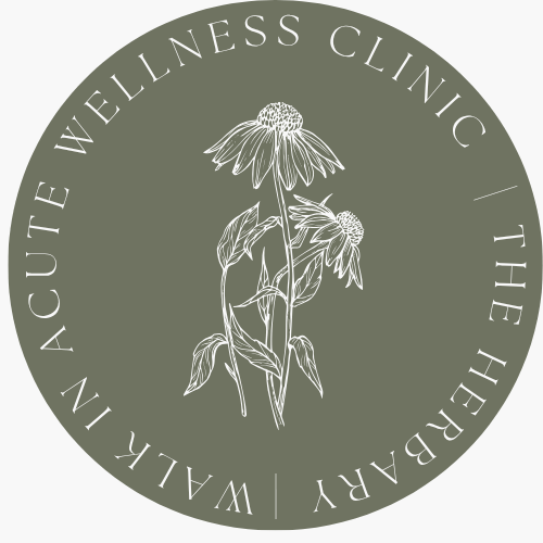 The Herbary logo featuring a dandelion, representing naturopath consultations, herbal medicine, and holistic health care at The Herbary in Pukekohe, Auckland.