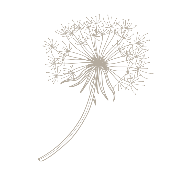 Illustration symbolising modern wellbeing and lifestyle balance, reflecting holistic health, natural medicine, and personalised naturopathic care at The Herbary in Pukekohe, Auckland.