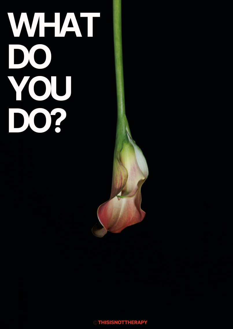 'What do you do?' workbook