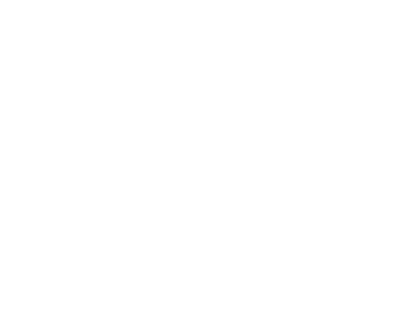 KoalaKube Marketing Group