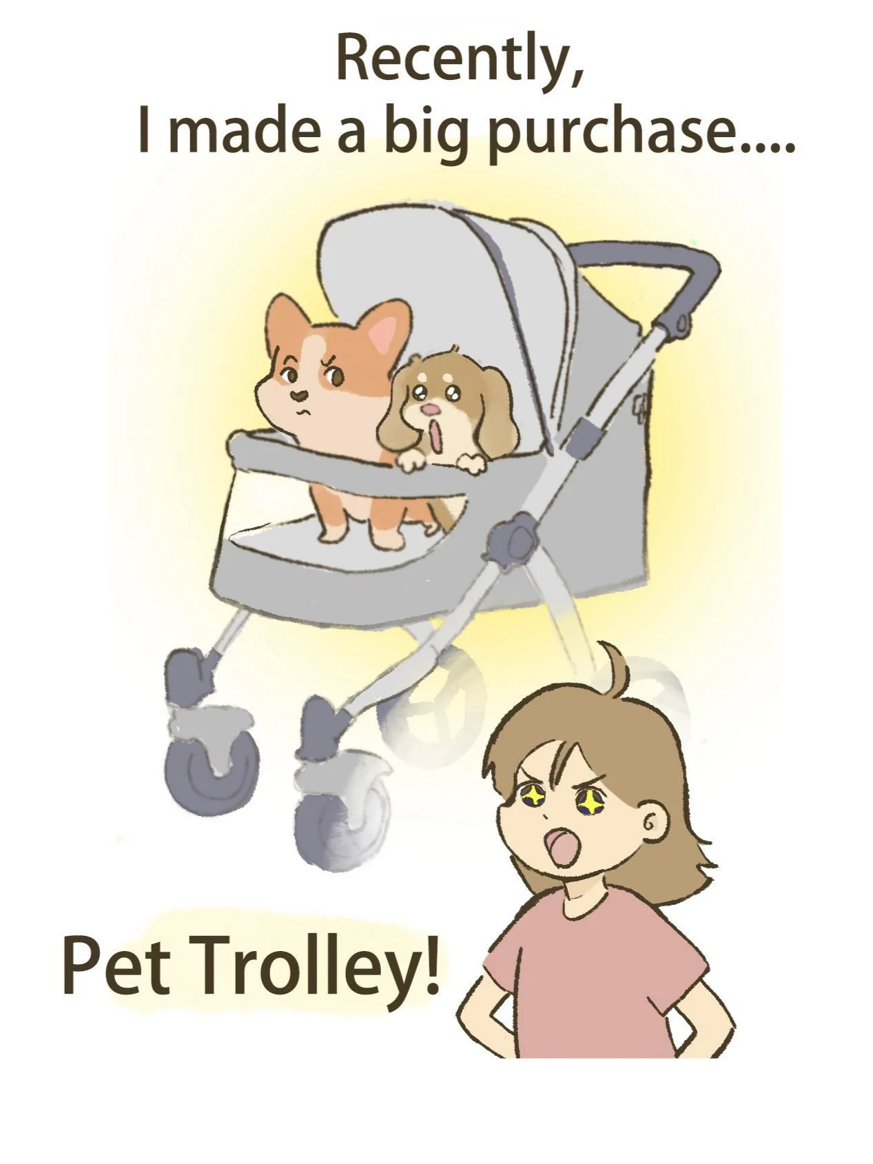About the dog trolley - is it worth it? #dog #corgi #dachshund #doglovers #dogsofinstagram