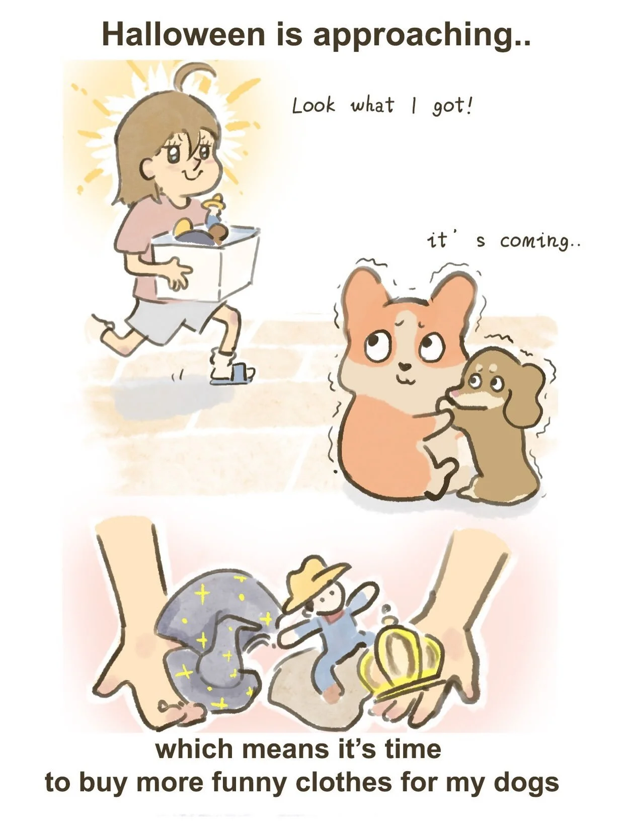 About the Halloween Costumes 🎃
#dog #dachshund #corgi #halloween #cute