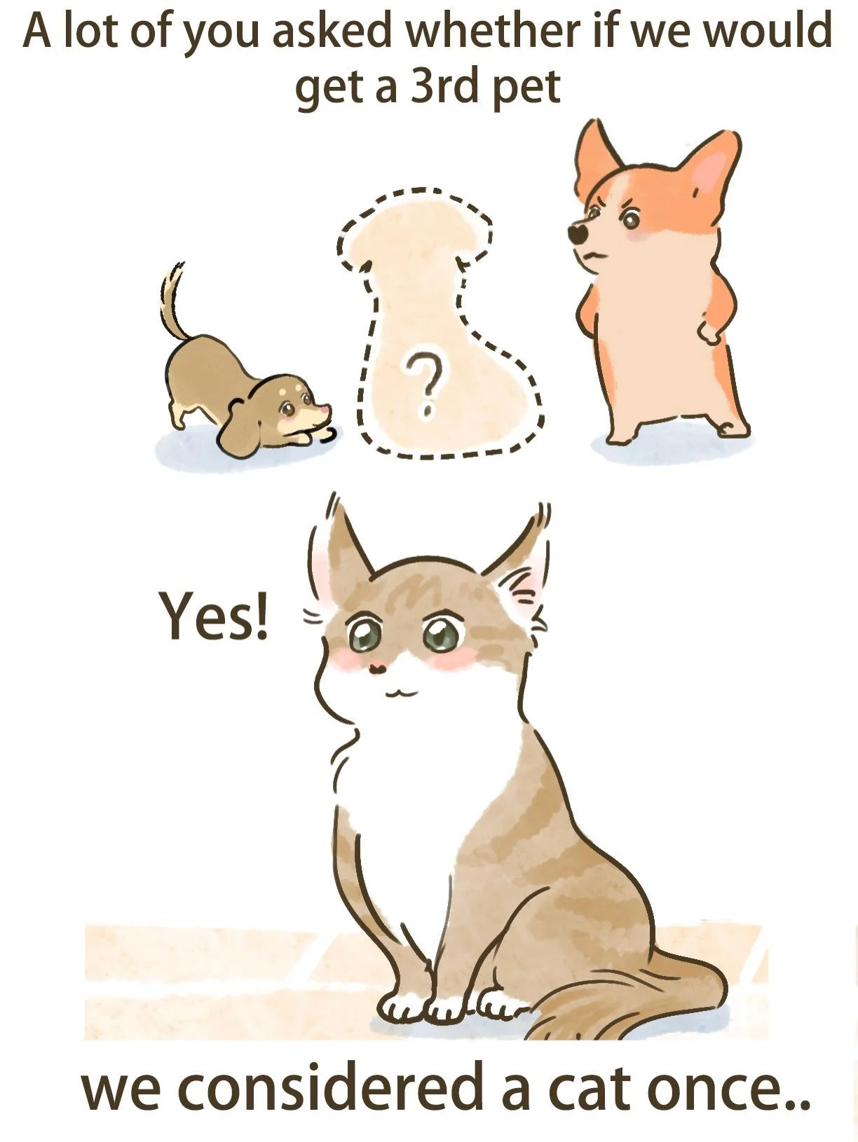 People always ask if I&rsquo;d want a cat &mdash; honestly, I&lsquo;d love &rdquo;cats and dogs together&ldquo;! Mug and Nilo actually lived with cats before at the sitters home, and it went well. I can picture the three of them curled up asleep toge
