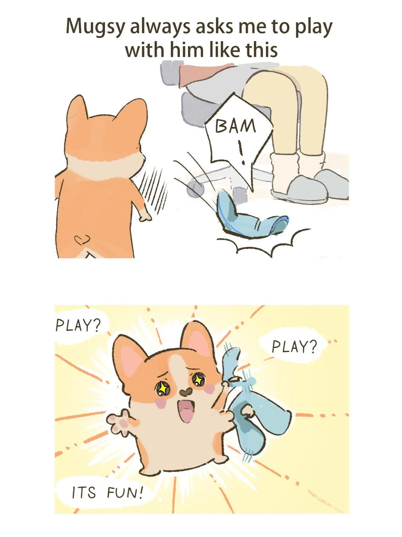 I'm always the Plan B when it comes to playing with Mugsy... I can't throw the toy as far and as fun as Mugsy's dad 🥲 but it's ok, he come to me for cuddles 🥰 #dog #corgi #puppy #cute #comic