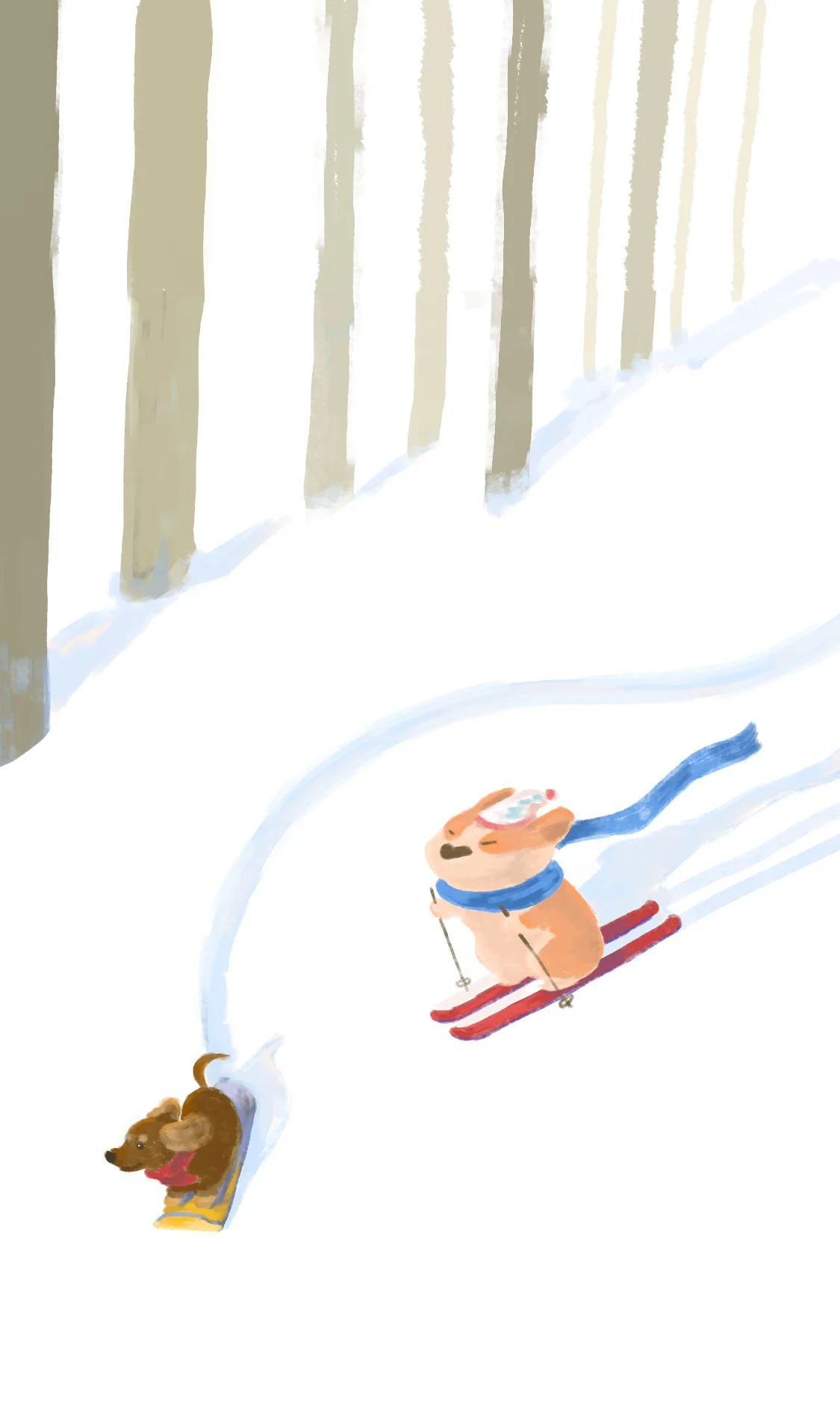 A corgi and a dachshund skiing down a snow-covered slope with tall trees in the background.