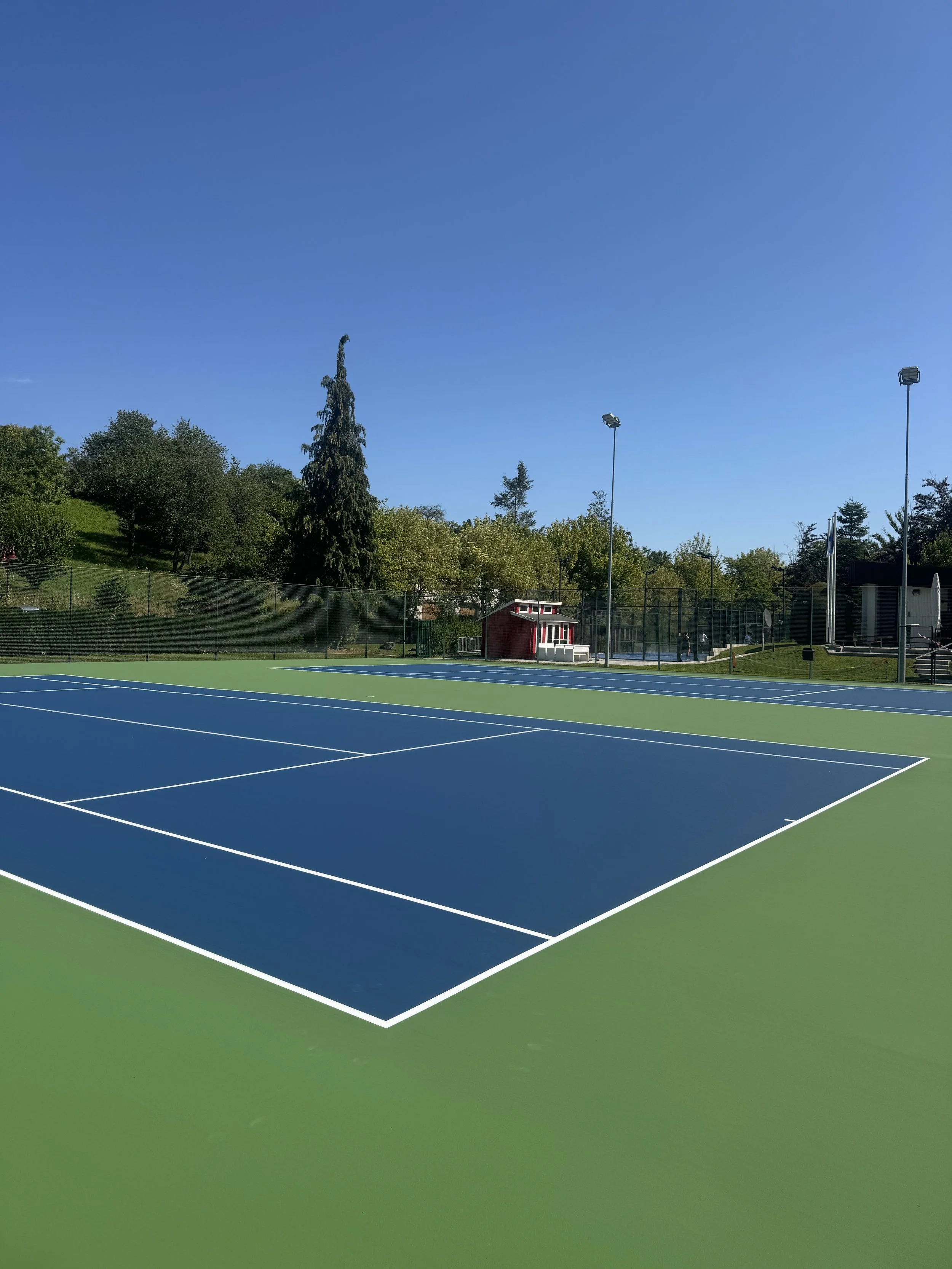 Empty tennis courts with blue playing surface and green surrounding area, fenced with trees and light poles under a clear blue sky.