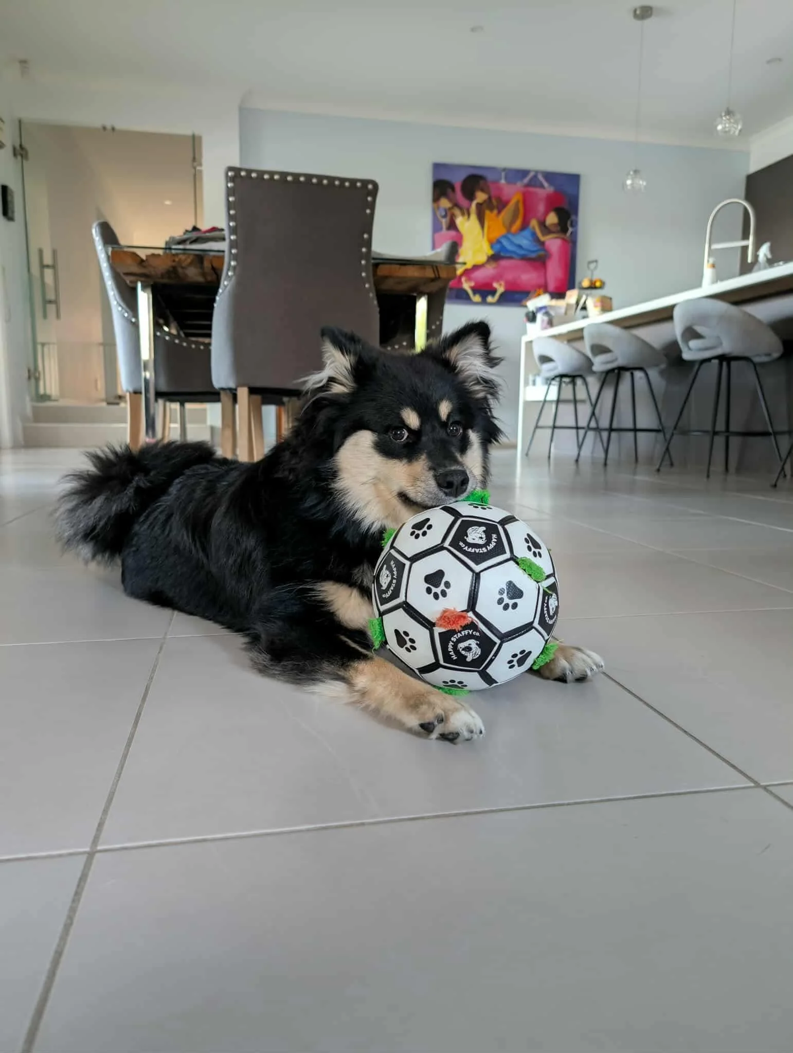 A black and tan dog lying on a tiled floor with a soccer ball in front of it in a modern kitchen and dining area.