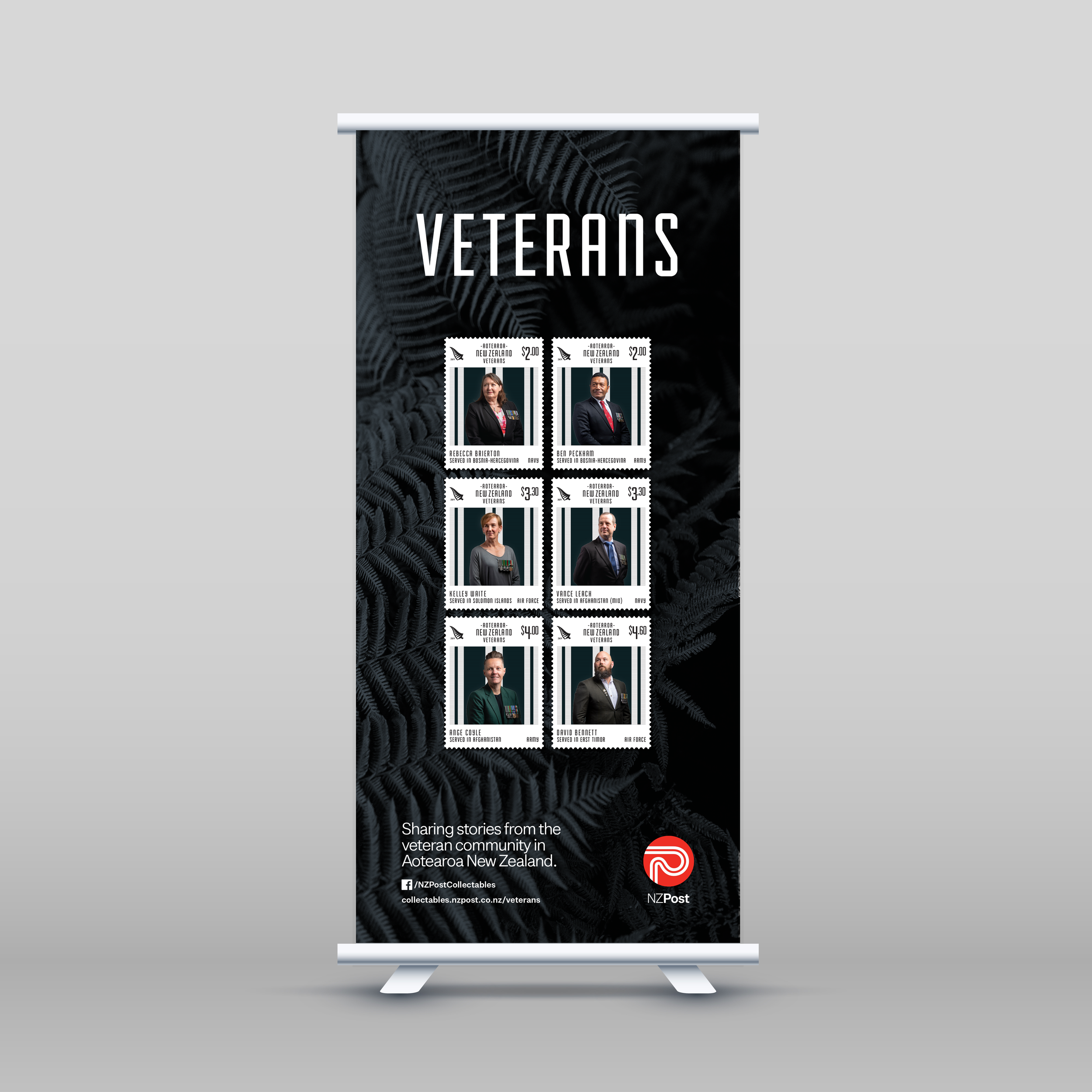 veteran_Pullup.png