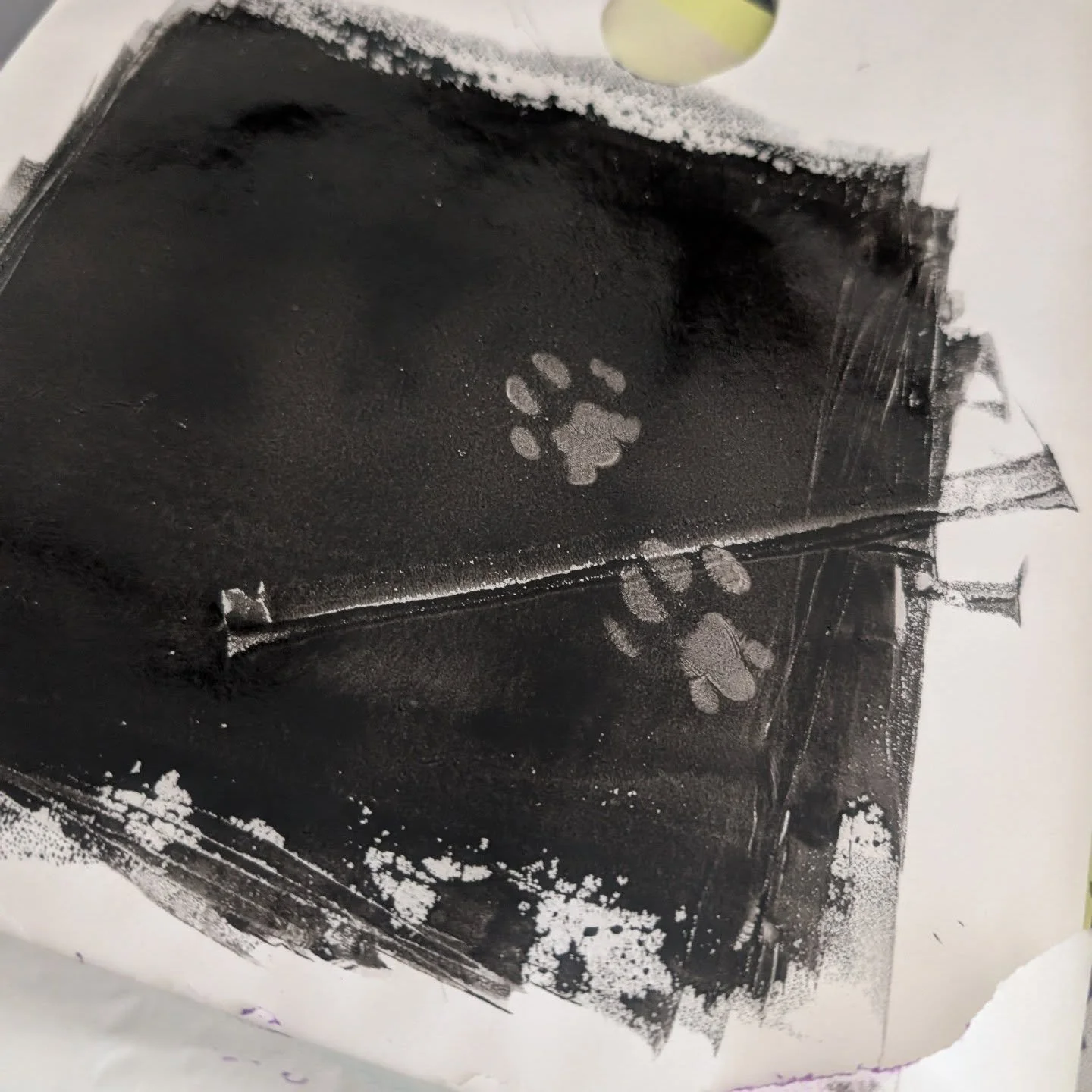 Creating with cats on the loose 🤣 

#blockprinting #printmaking #carving #painting #ink #artink #art #artist #linocarving #linoprinting #artprint #banksia #australiannativeflower #nativeflower #banksiaflower
#catsagram #catlovers #catowner #catsofin