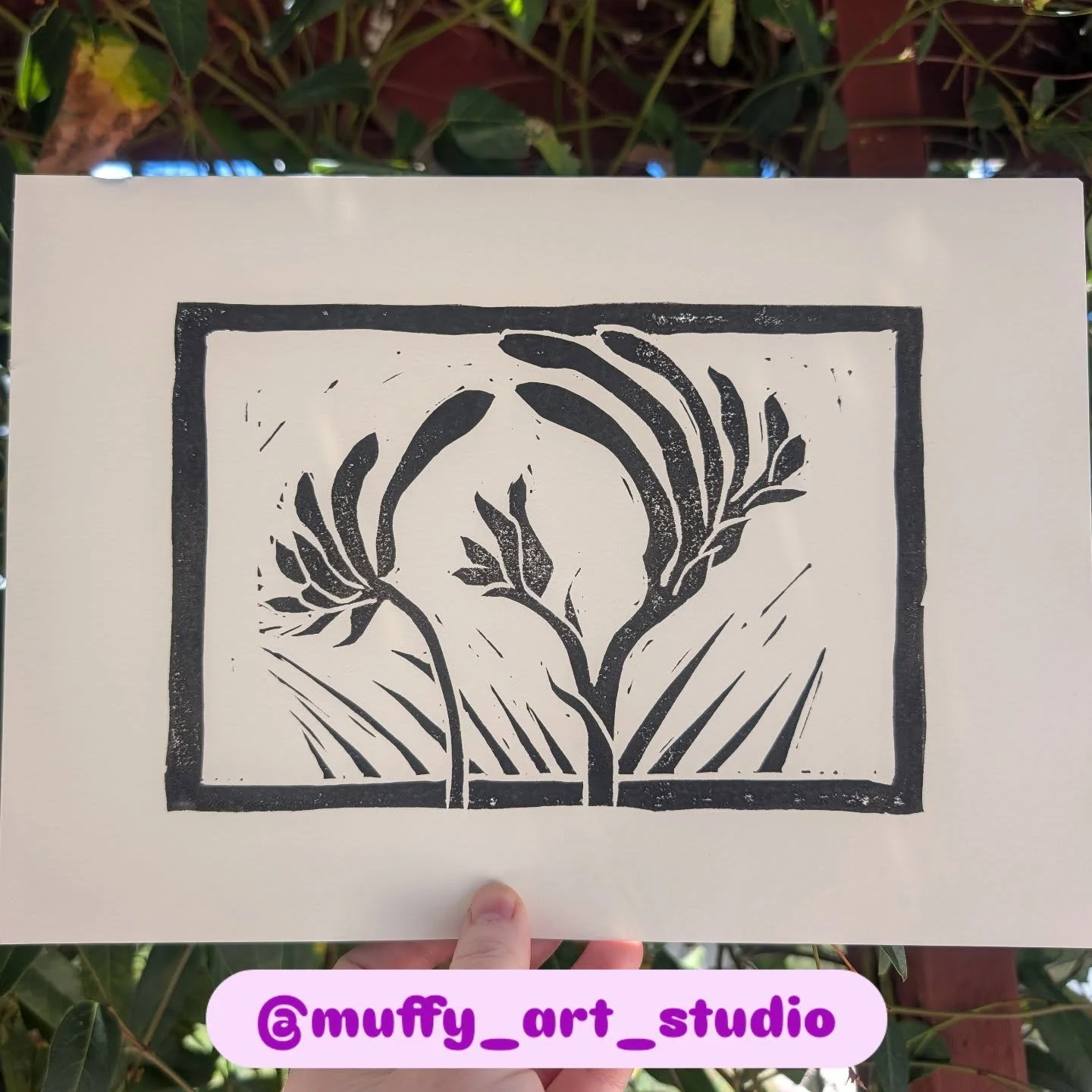 Finished Kangaroo Paw print 😻

#blockprinting #printmaking #carving #painting #ink #artink #art #artist #linocarving #linoprinting #artprint #australiannativeflower #nativeflower #kangaroopaw #australiankangaroopaw #kangaroopawflower