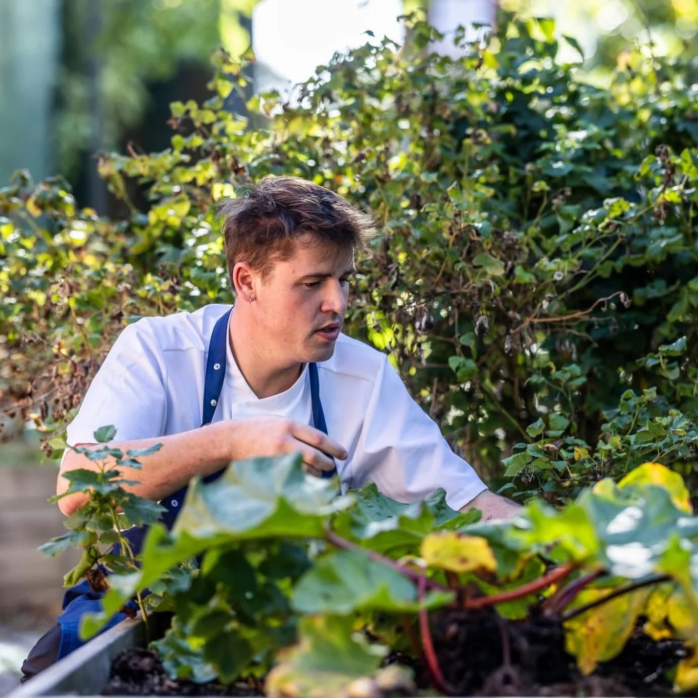 Temaaften: Mens vi venter p&aring; for&aring;ret 🌿 

For&aring;ret er lige p&aring; trapperne, og vi markerer overgangen med en hyggelig aften i godt selskab. Her s&aelig;tter vi fokus p&aring; s&aelig;sonens r&aring;varer, gode smage og en afslappe