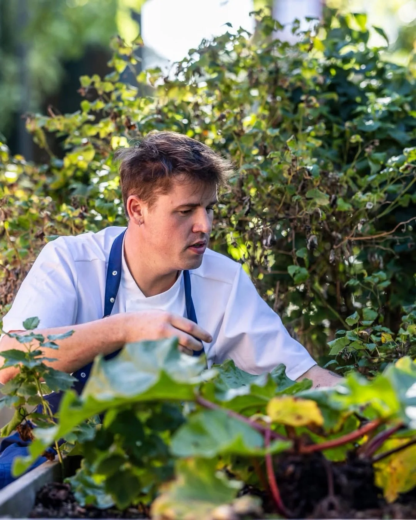 ✨ Sidste chance for at smage vores s&aelig;sonmenu for april &amp; maj ✨

Juni n&aelig;rmer sig,og det betyder, at vores nuv&aelig;rende s&aelig;sonmenu snart bliver skiftet ud 🌿🍷

Hvis I endnu ikke har n&aring;et at opleve menuen, er det nu, I ska
