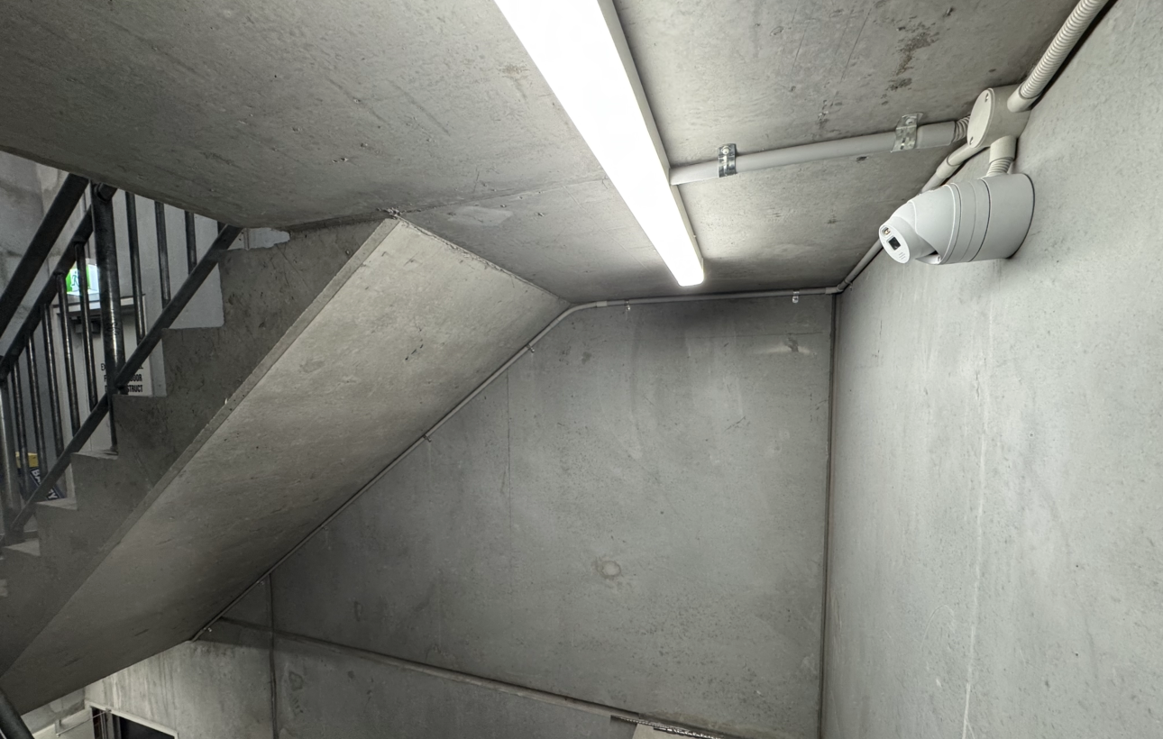 IMG_3927 Robbie Smarrelli.PNG