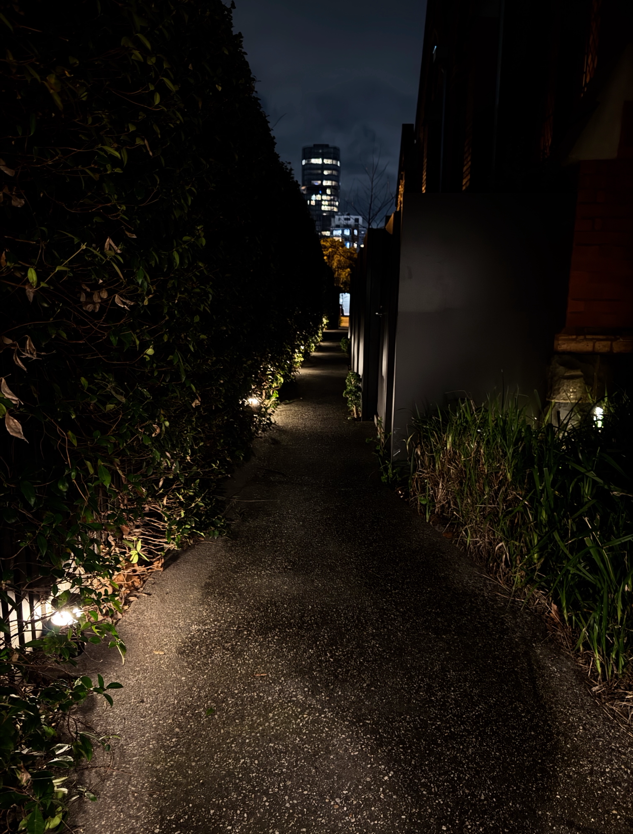 IMG_3916 Robbie Smarrelli.PNG