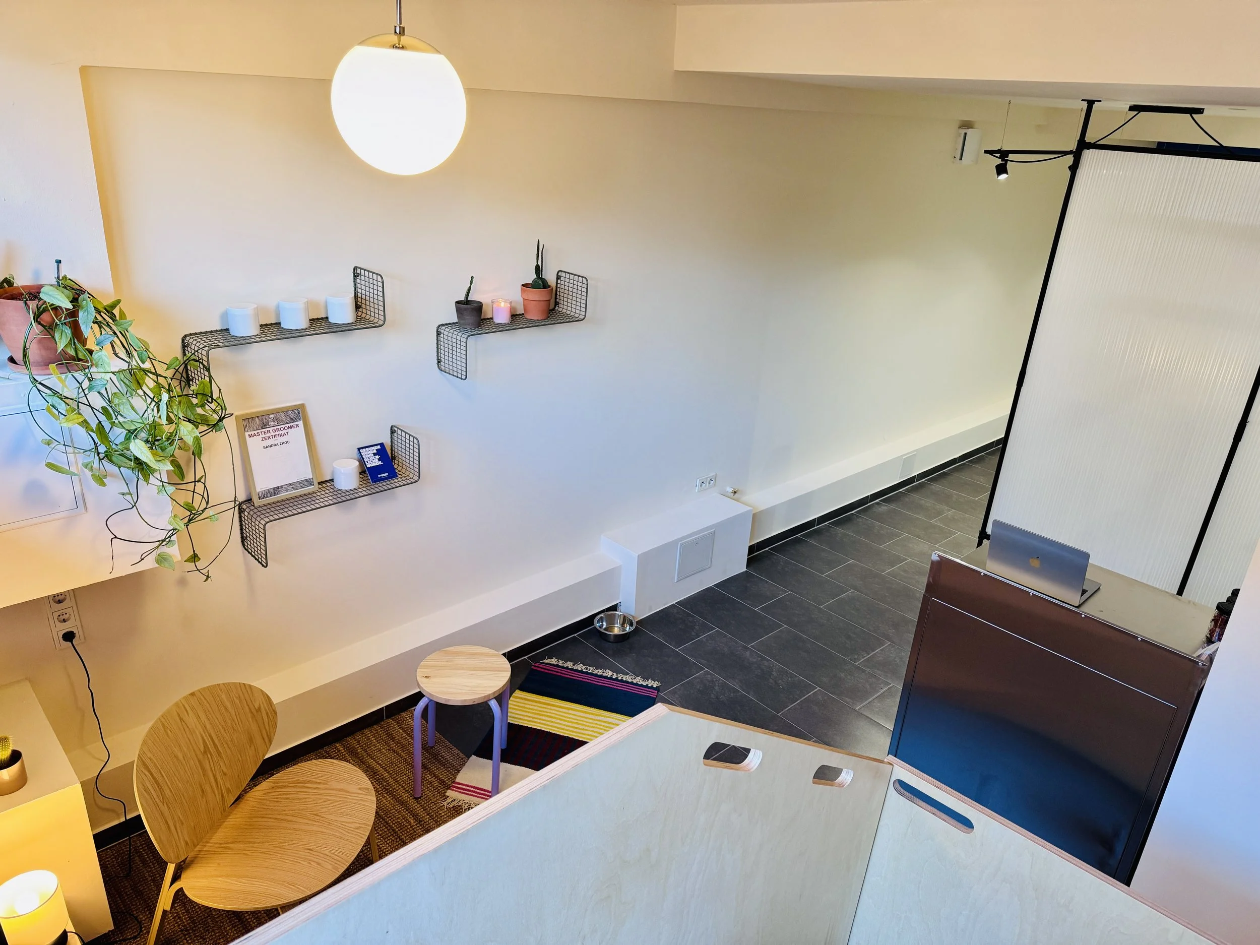 snyggs Hundesalon in Hürth – Top Hundepflege von den besten Hundefriseur*innen. Moderne Einrichtung und Wohlfühlqualität. Du kannst gerne bei uns warten während wir uns um deinen Hund kümmern