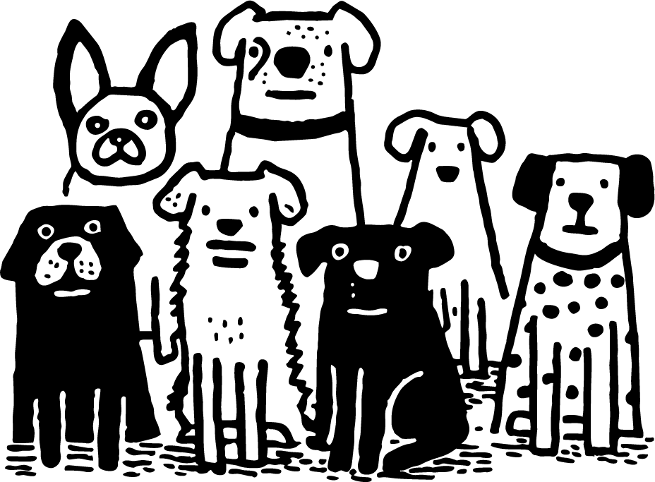 snyggs_hundesalon_illustration_von_hunden_mit_kurzem_haar