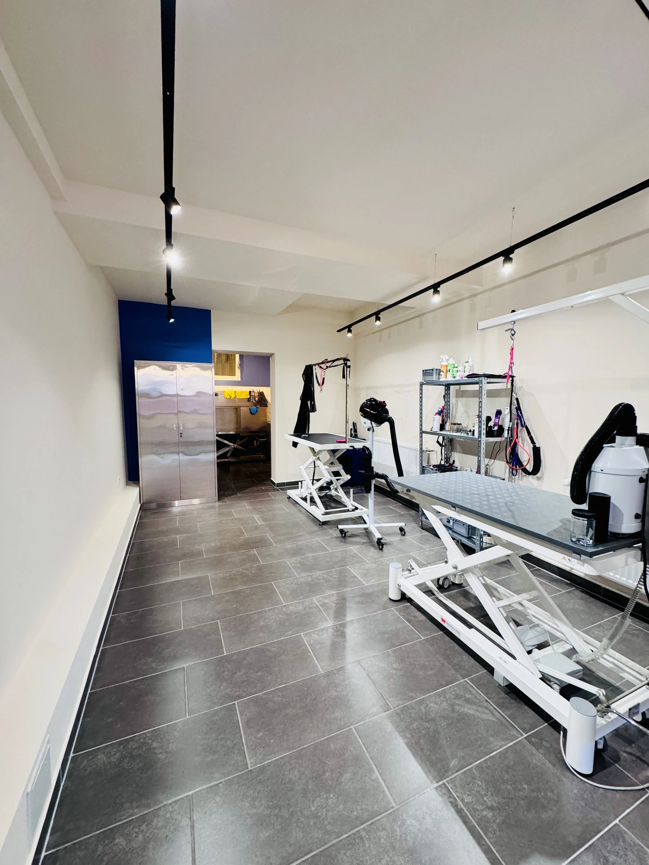 Bei snyggs in Hürth bekommt dein Hund alles, was er oder sie zum Wohlfühlen und gesund sein braucht. 