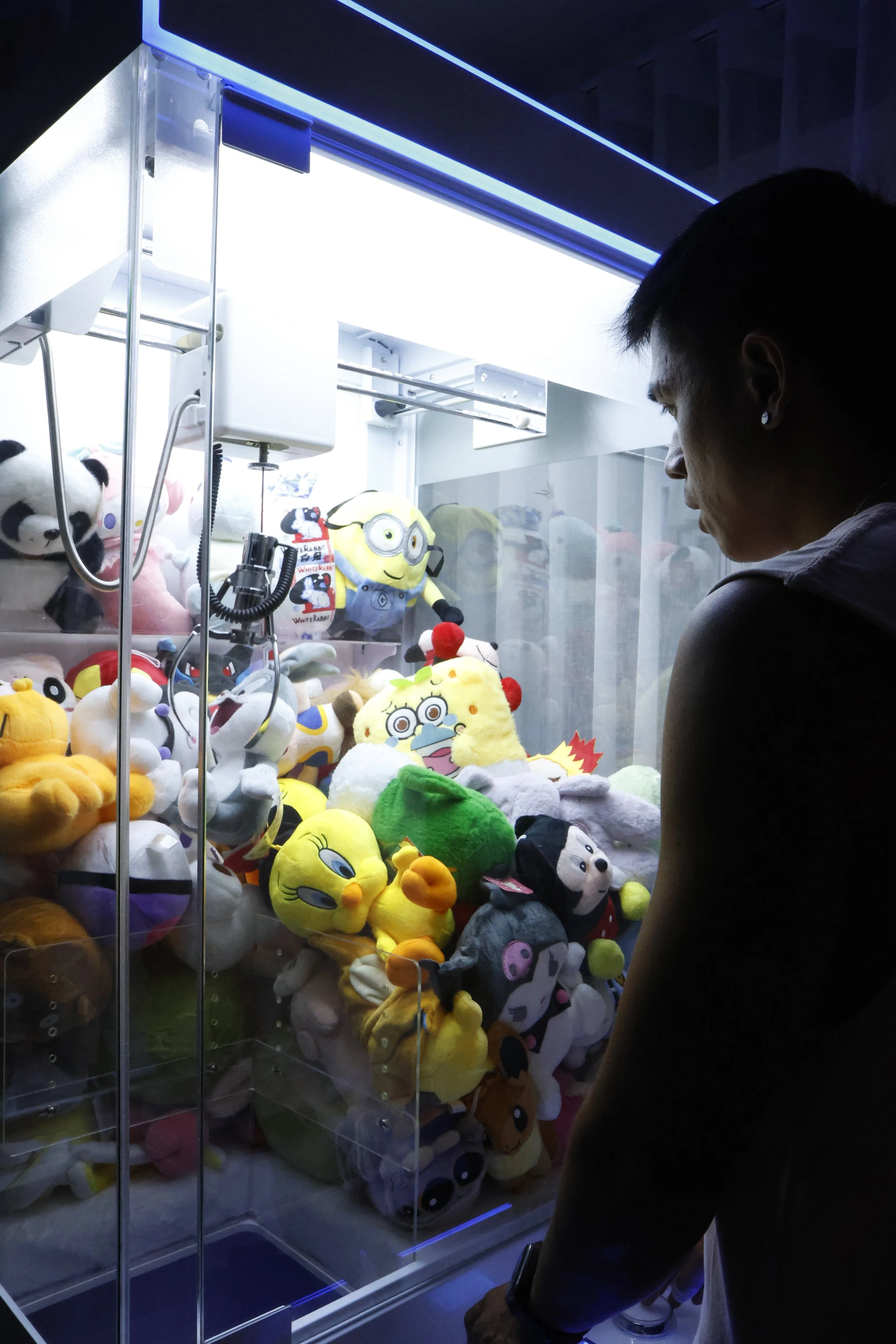 Large Claw Machine.JPG