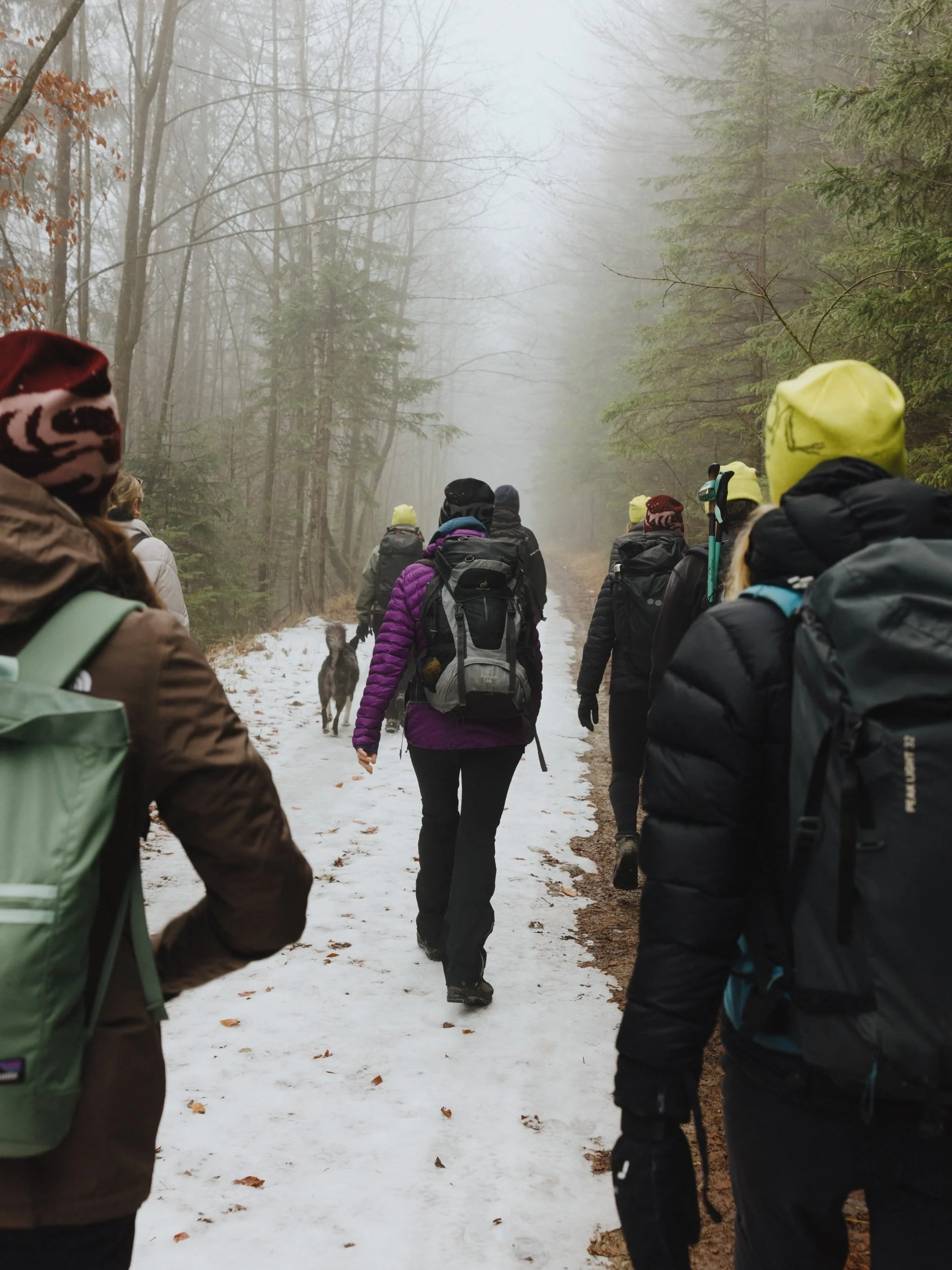 20251207_everyseason_arcteryx_hike_LoRes_150dpi_noneisreal.at08.jpg