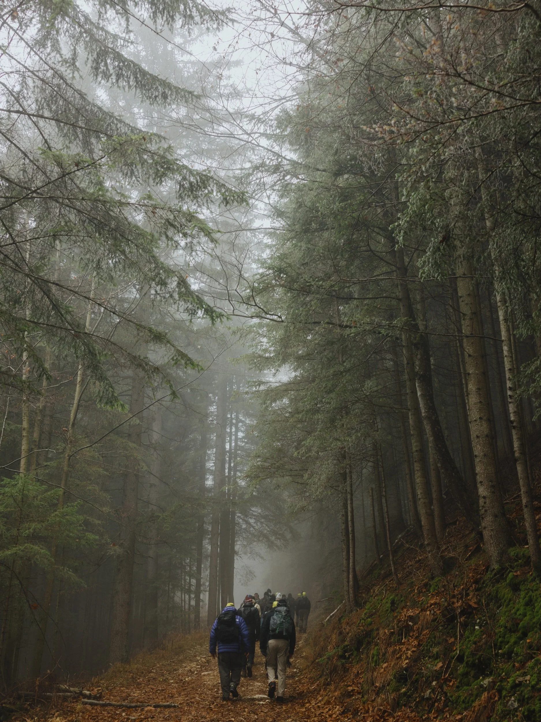 20251207_everyseason_arcteryx_hike_LoRes_150dpi_noneisreal.at10.jpg
