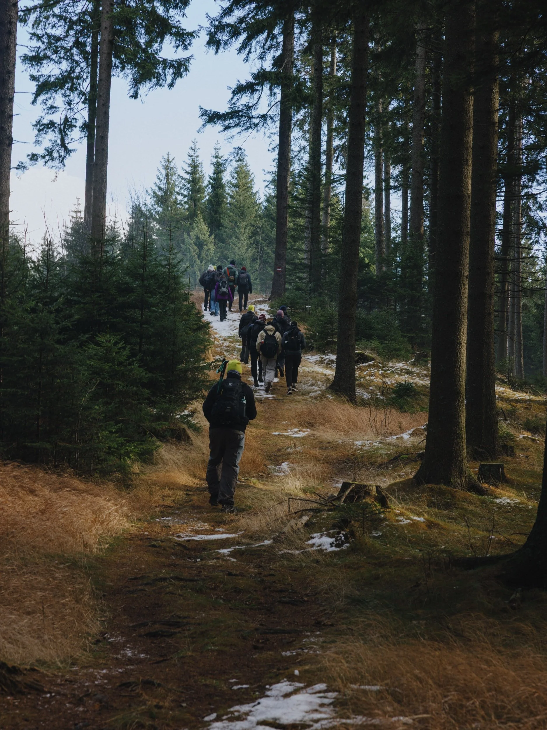 20251207_everyseason_arcteryx_hike_LoRes_150dpi_noneisreal.at30.jpg