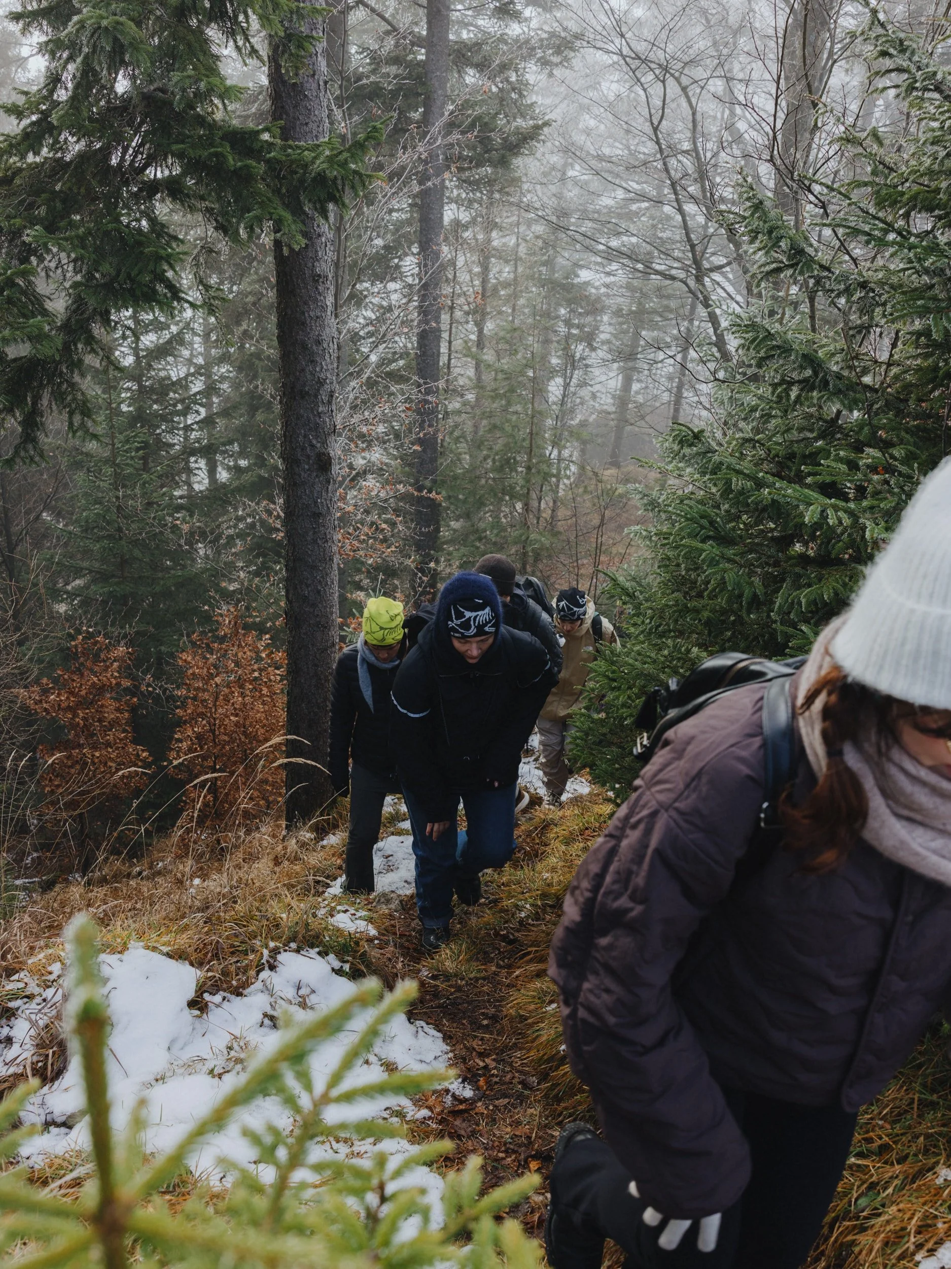 20251207_everyseason_arcteryx_hike_LoRes_150dpi_noneisreal.at39.jpg