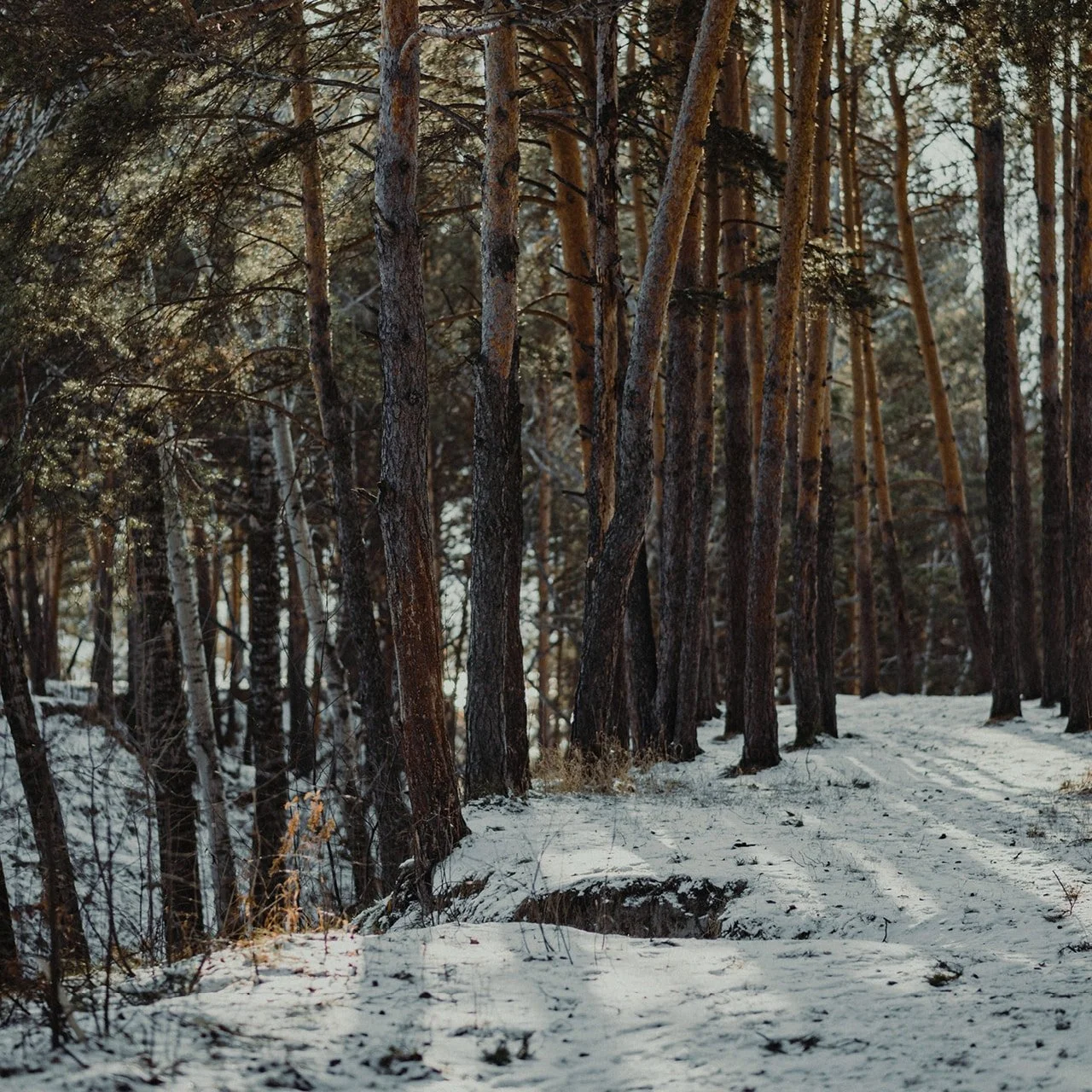 everyseason-event-forest-bath-3.jpg