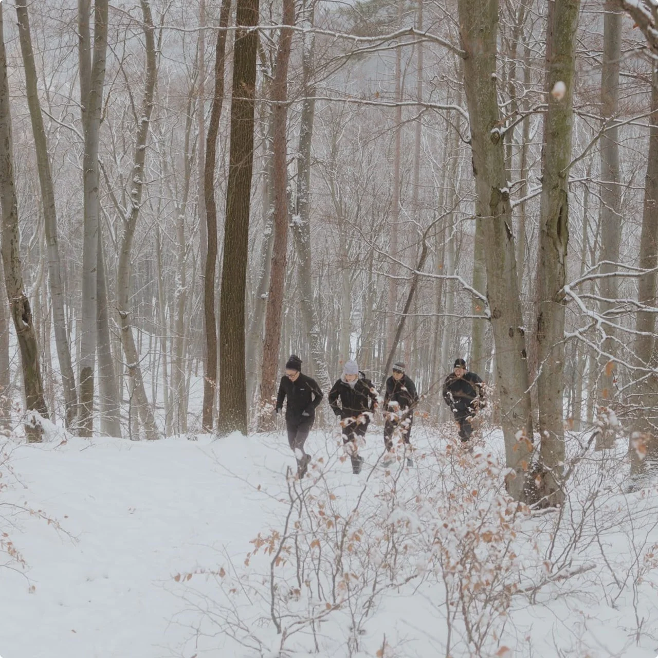 everyseason-events-winter-trail-run-3.jpg