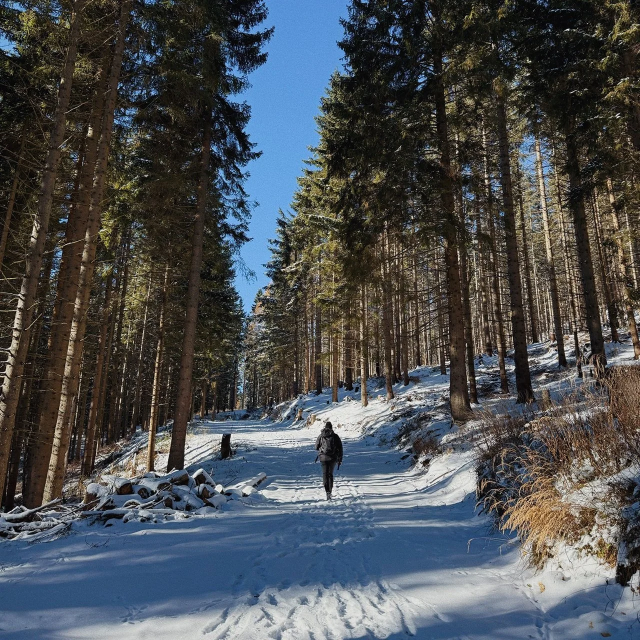 everyseason-events-group-hike-arcteryx-5.jpg