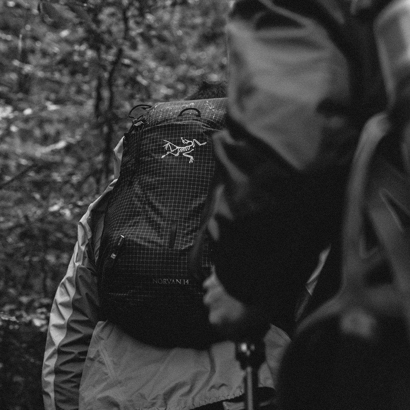 everyseason-events-group-hike-tohigherground-02.jpg