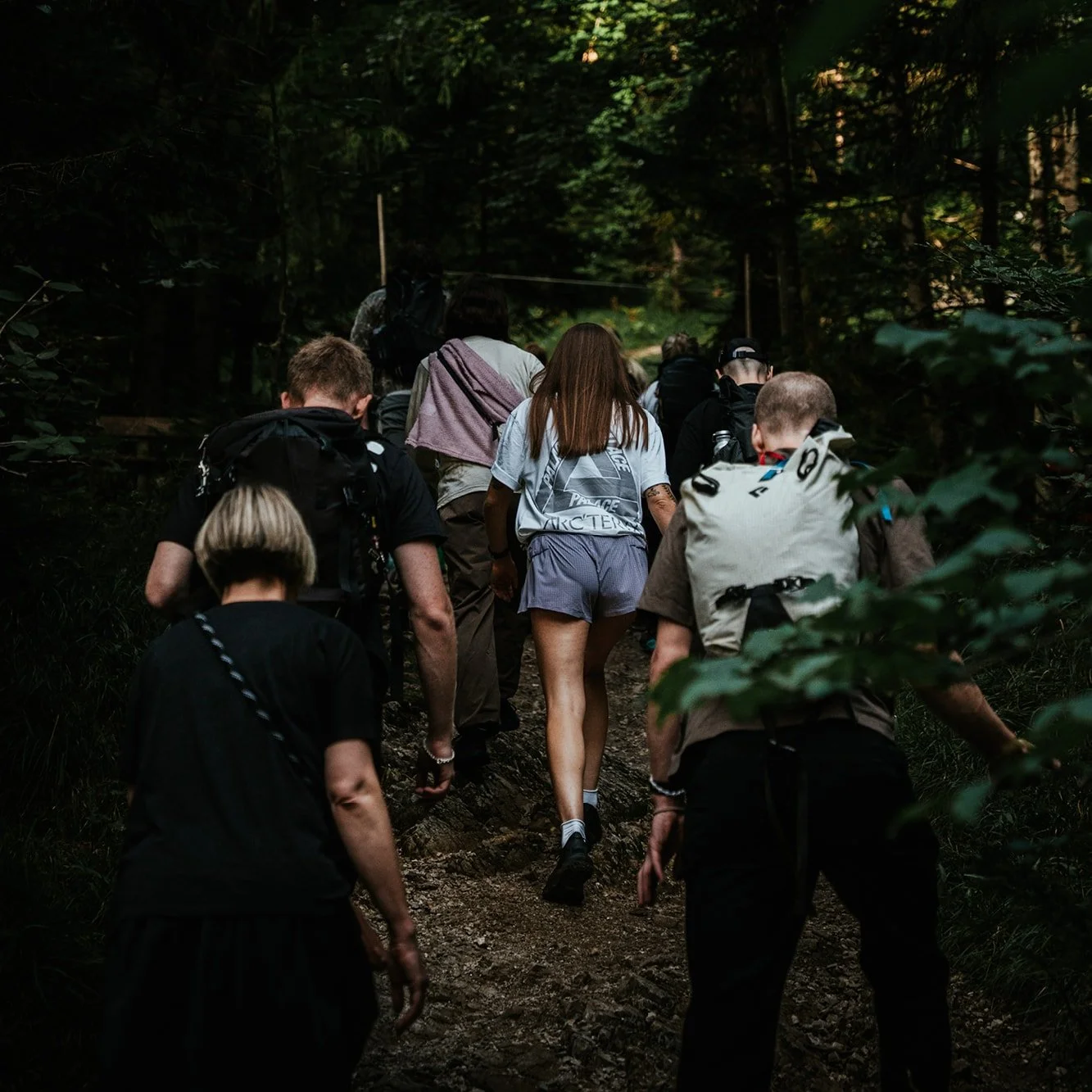 everyseason-events-group-hike-tohigherground-0.jpg
