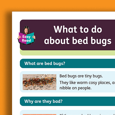 Document cover titled 'What to do about bed bugs' with sections explaining what bed bugs are and why they are bad'.