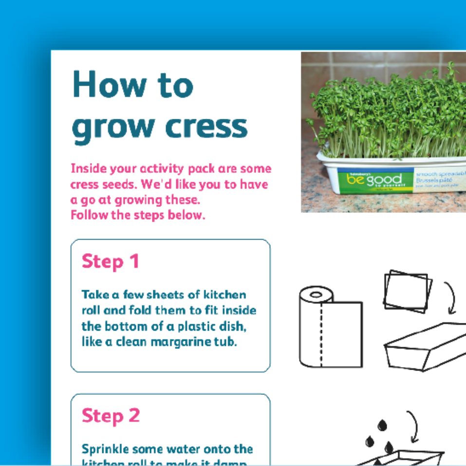 Cover of easy read document titled 'How to grow cress' showing cress sprouts in a white tray, along with simple illustrated steps for planting cress seeds.