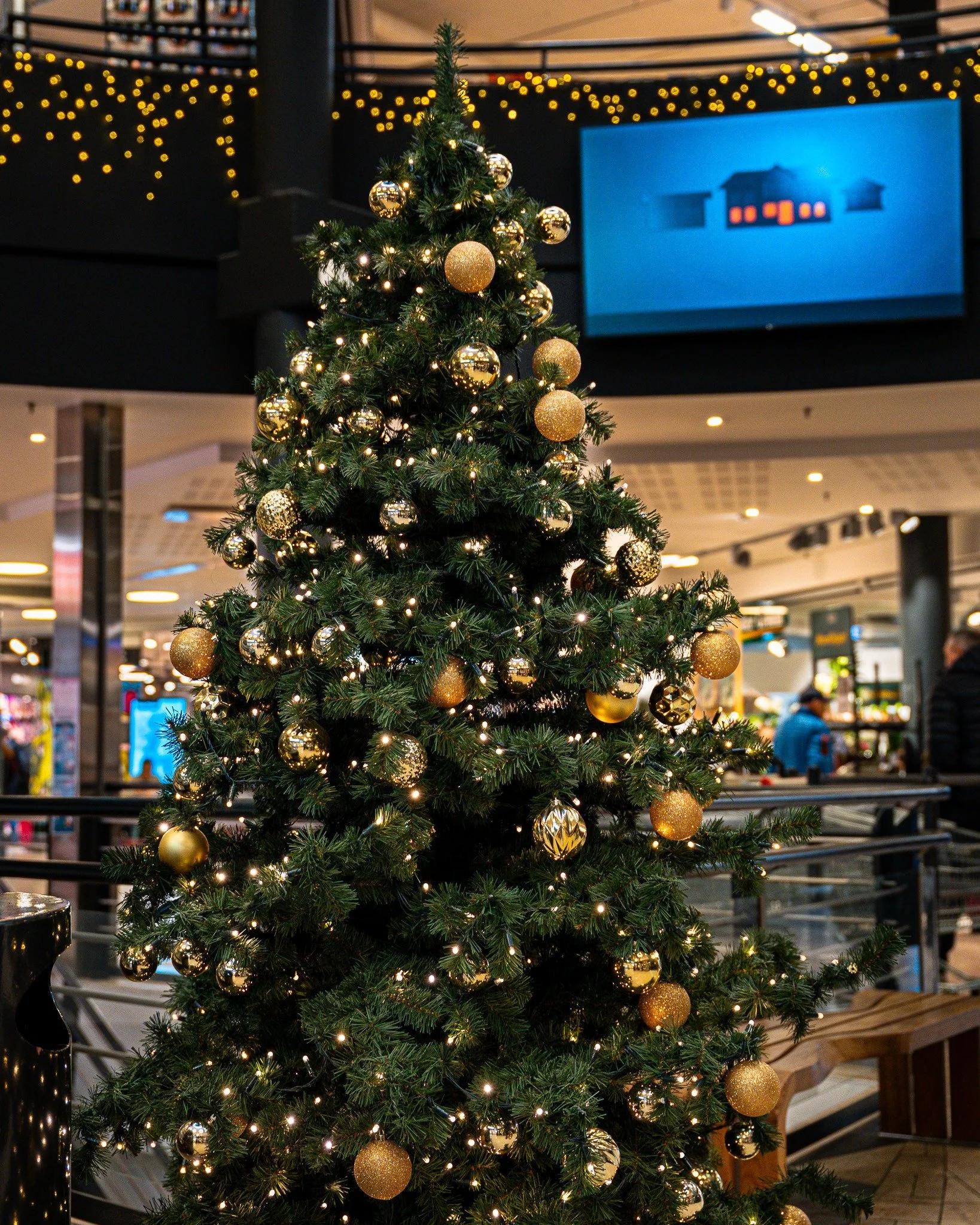 🎄 S&oslash;ndags&aring;pent i morgen p&aring; Trekanten Kj&oslash;pesenter! 🎄
Trenger du &aring; f&aring; unna litt julehandel f&oslash;r uka starter?

🗓 S&oslash;ndag 14.12
🕑 Trekanten: kl. 14&ndash;18
🛒 Eurospar: kl. 14&ndash;20

Velkommen til