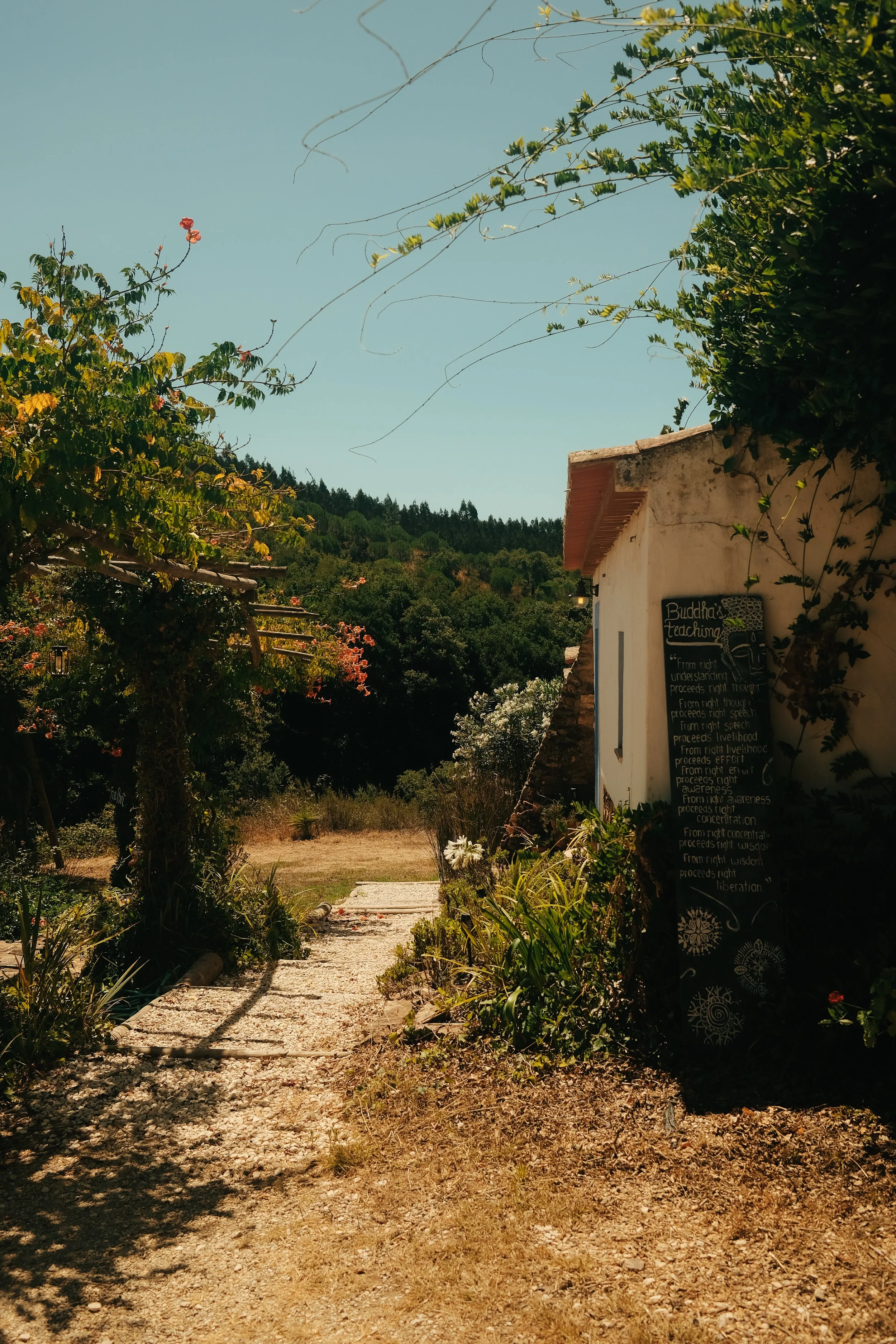 DSCF2285.jpg