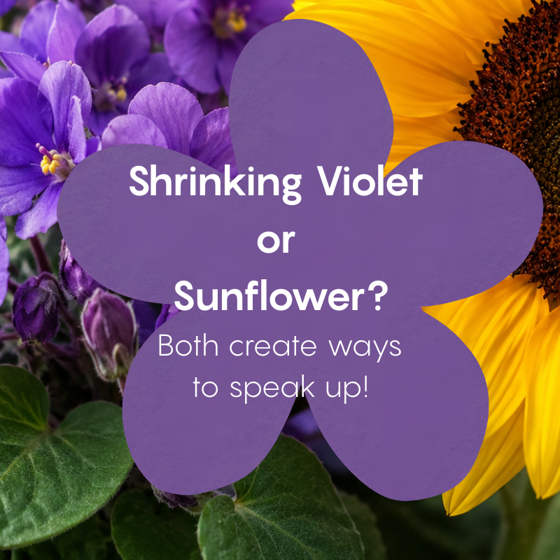 Shrinking Violet or  Sunflower?