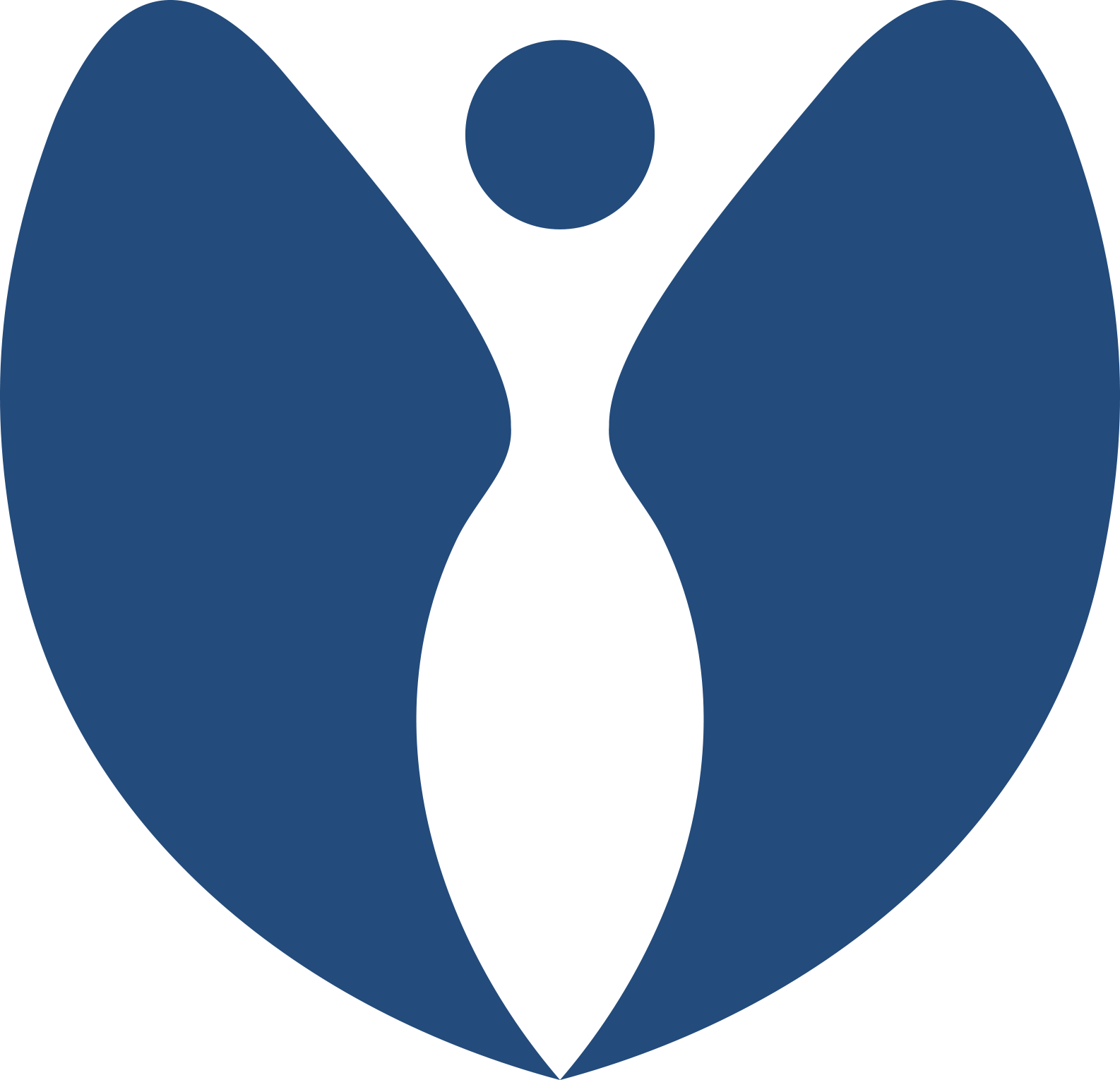 A stylized blue and black butterfly logo with symmetrical wings and a small circle at the top center.